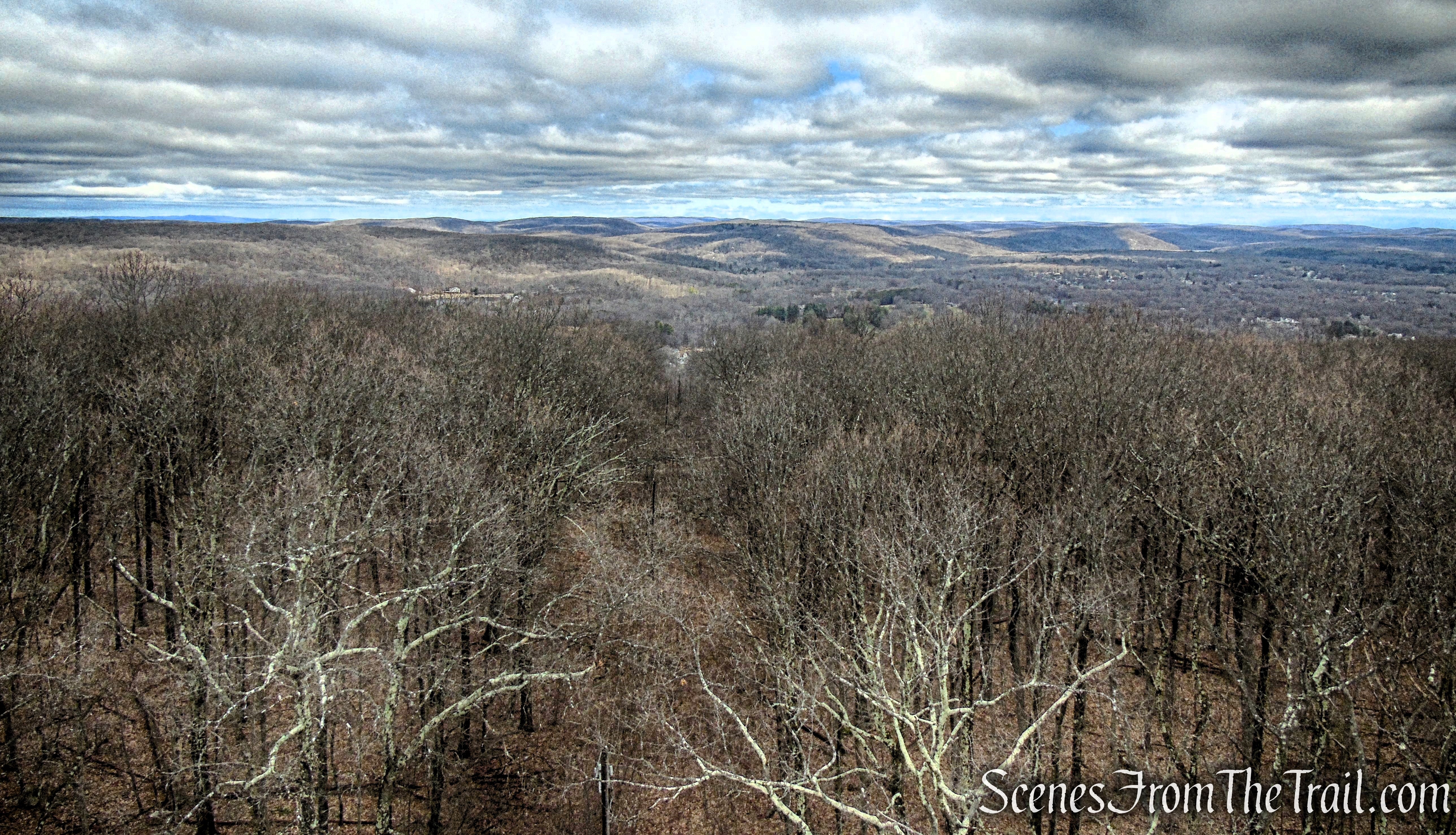 Milton Station Fire Tower
