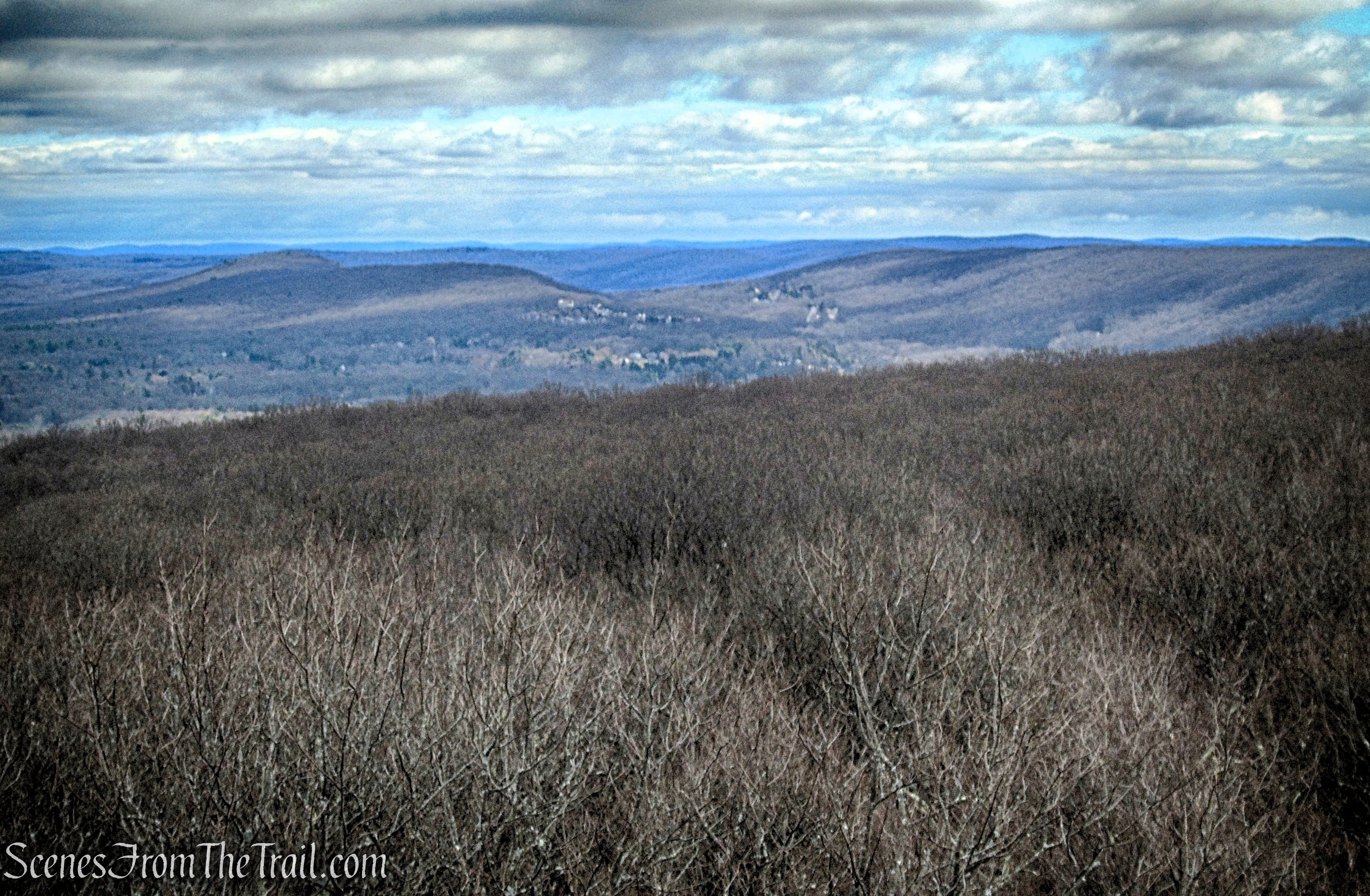 Milton Station Fire Tower