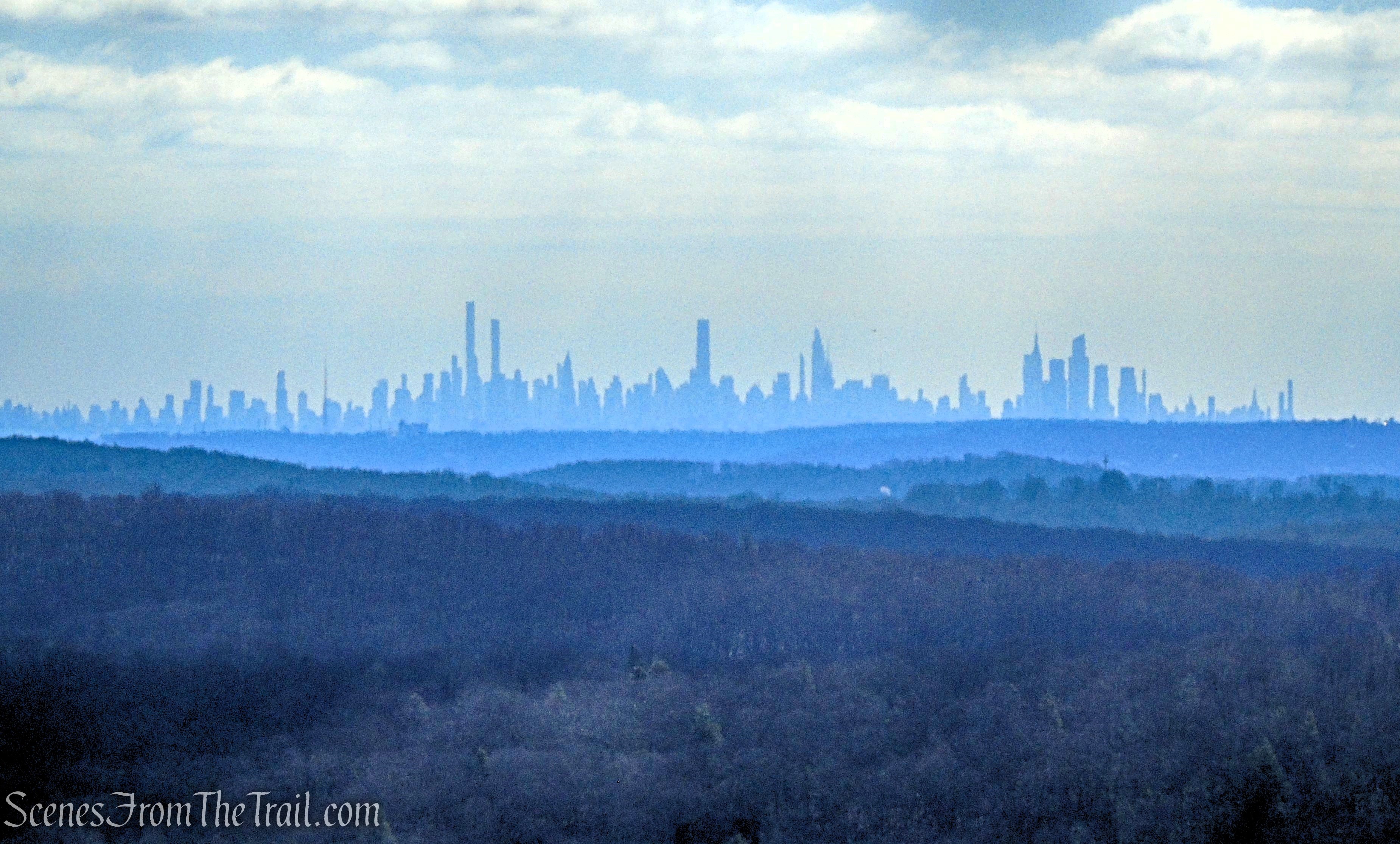 Milton Station Fire Tower