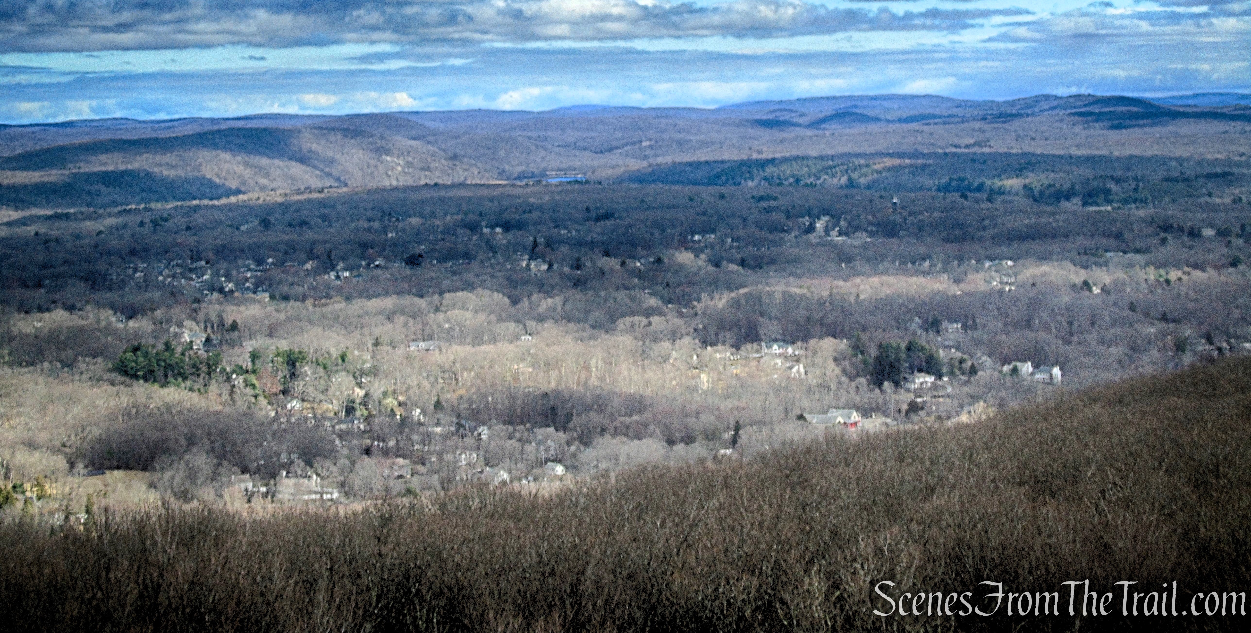 Milton Station Fire Tower