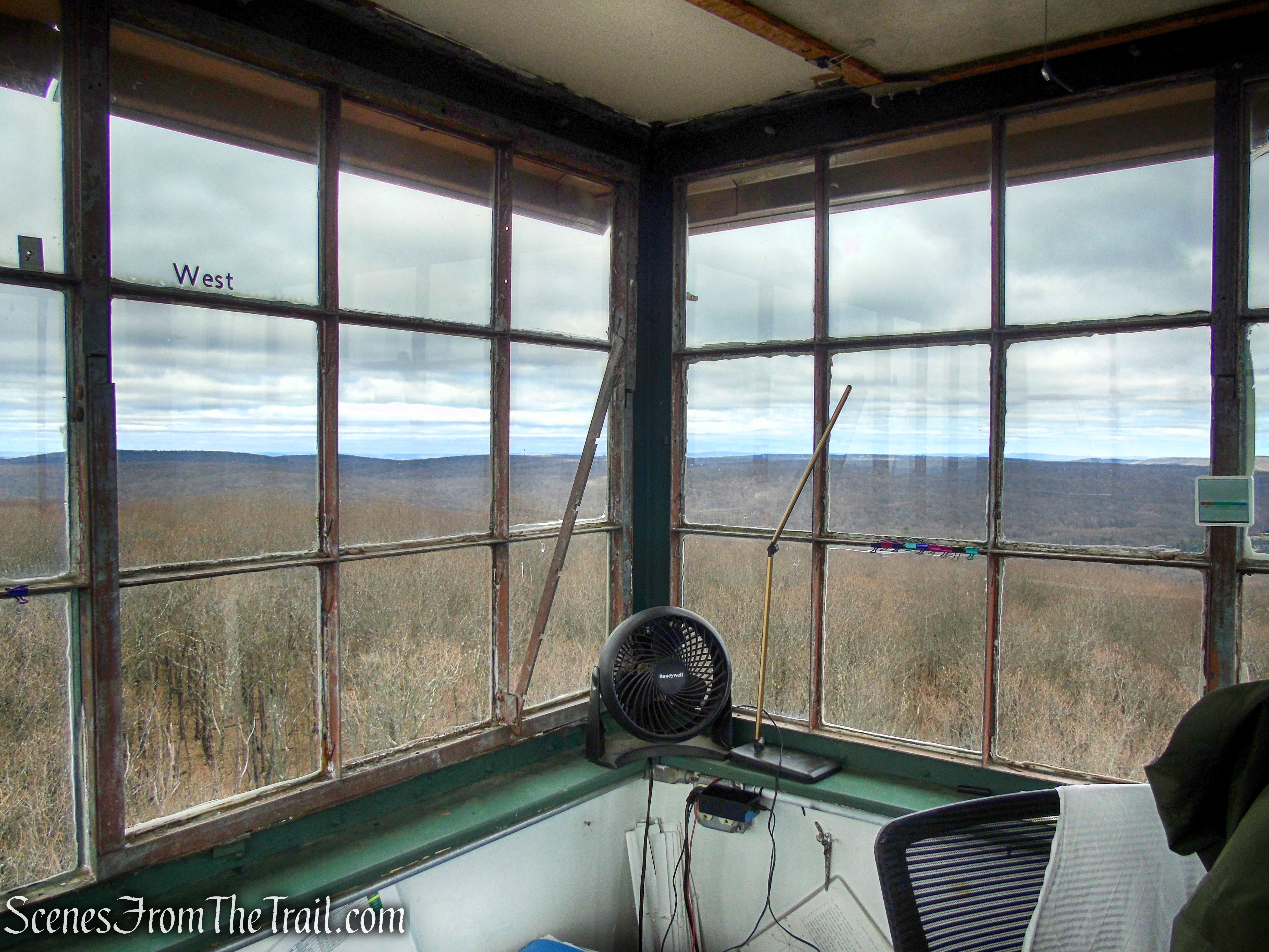 Milton Station Fire Tower