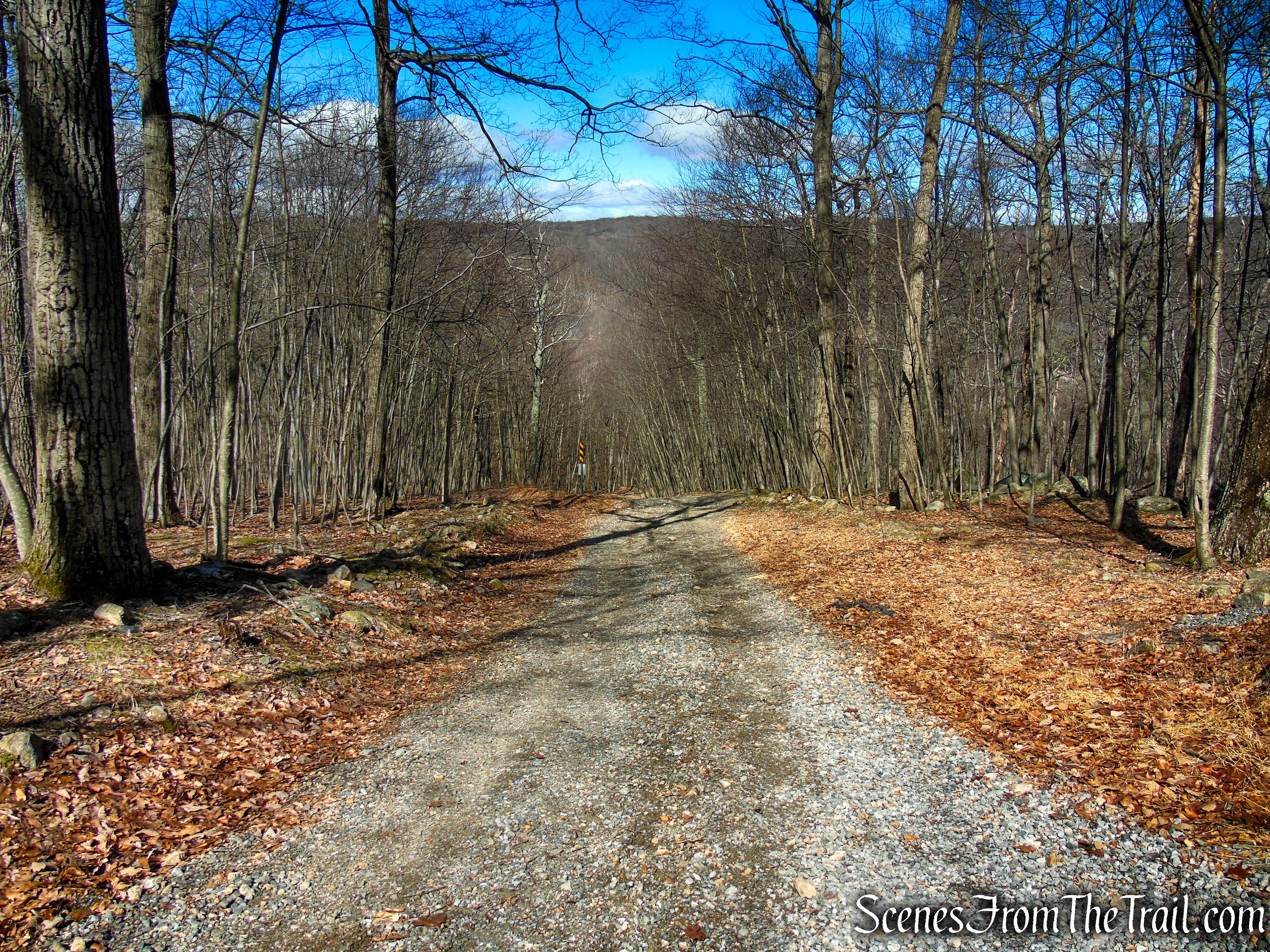 Fire Tower Trail - Mahlon Dickerson Reservation