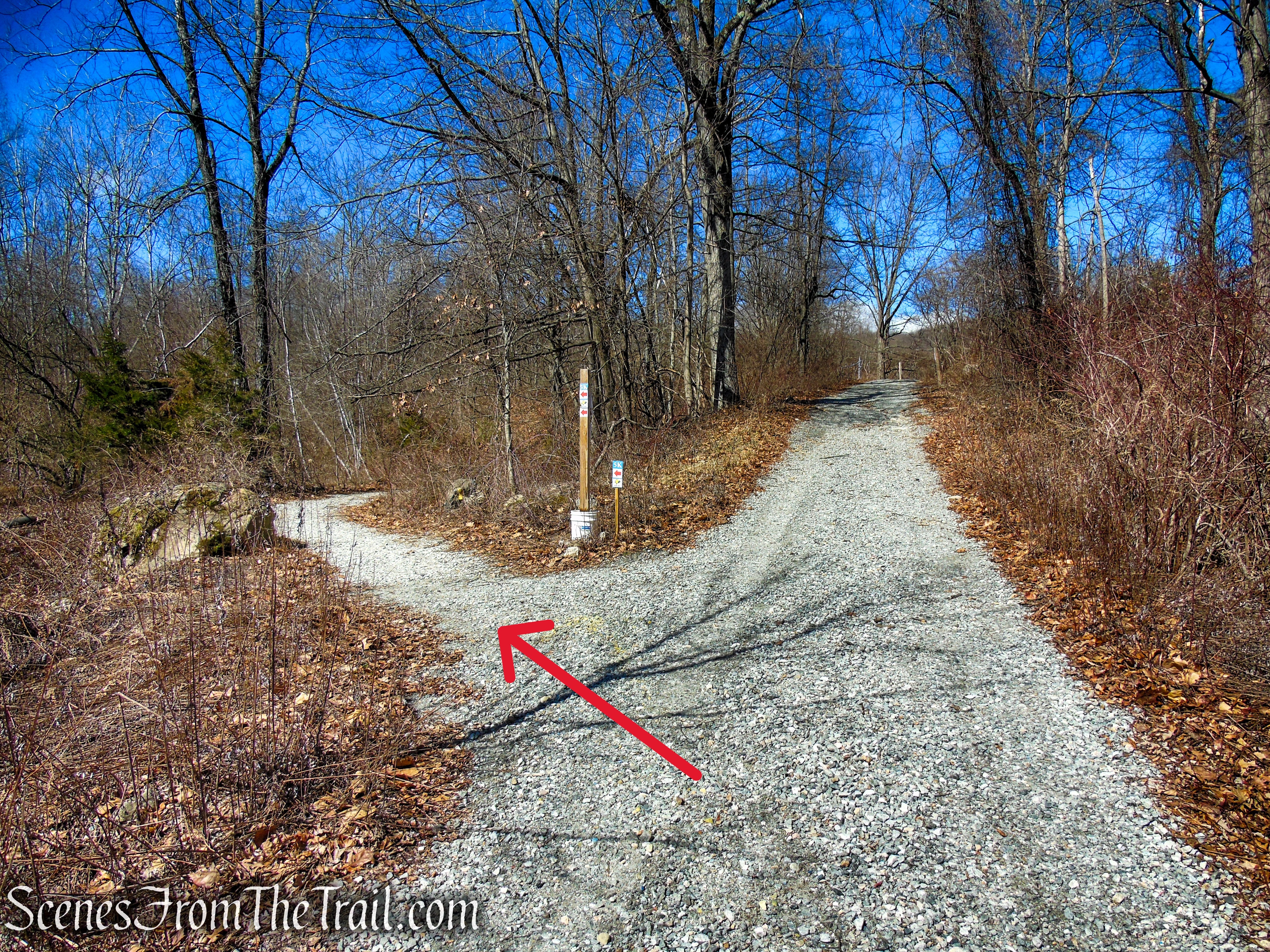 Turn left on Snow Bowl Loop Trail