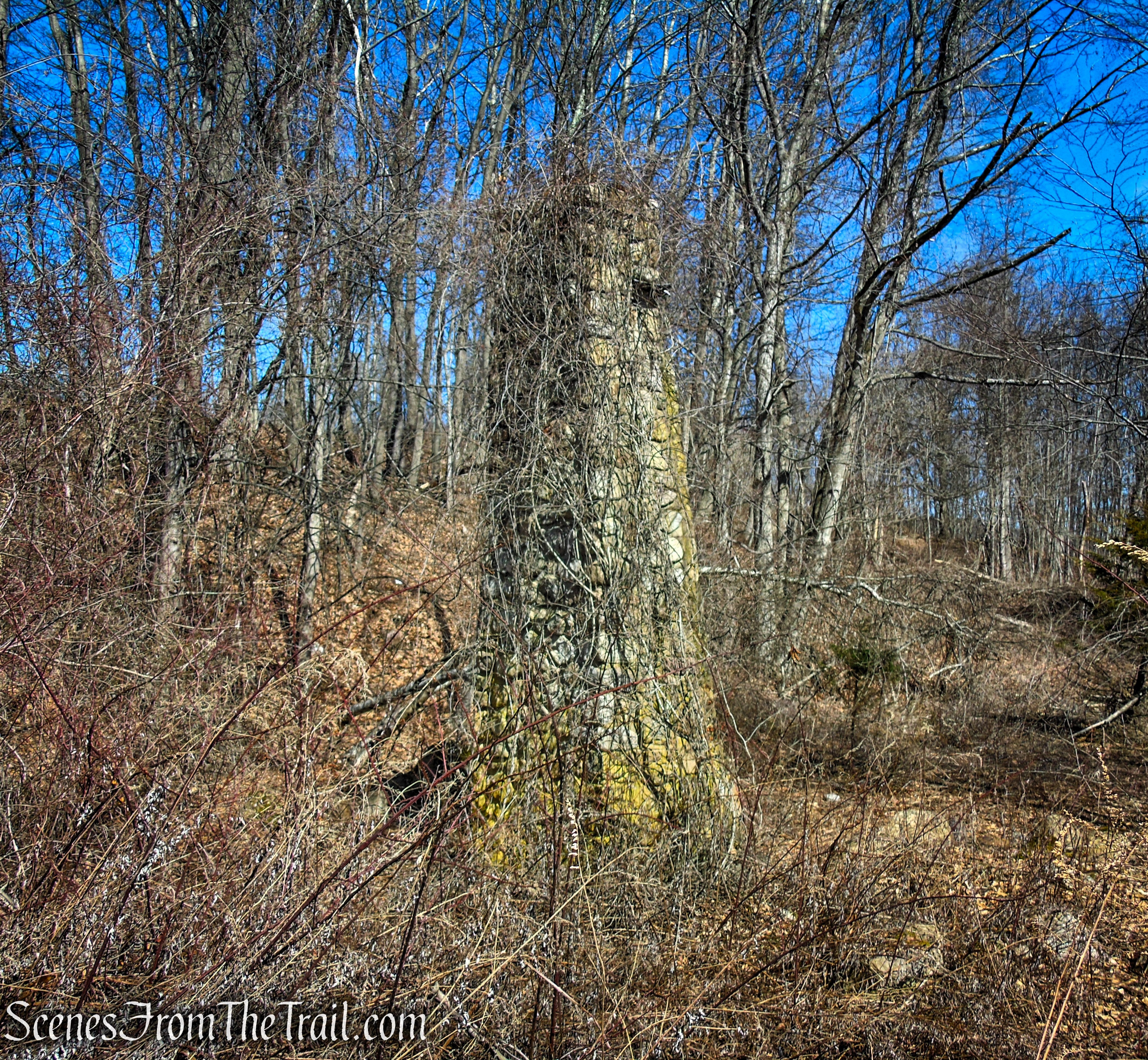 Fire Tower Trail - Mahlon Dickerson Reservation