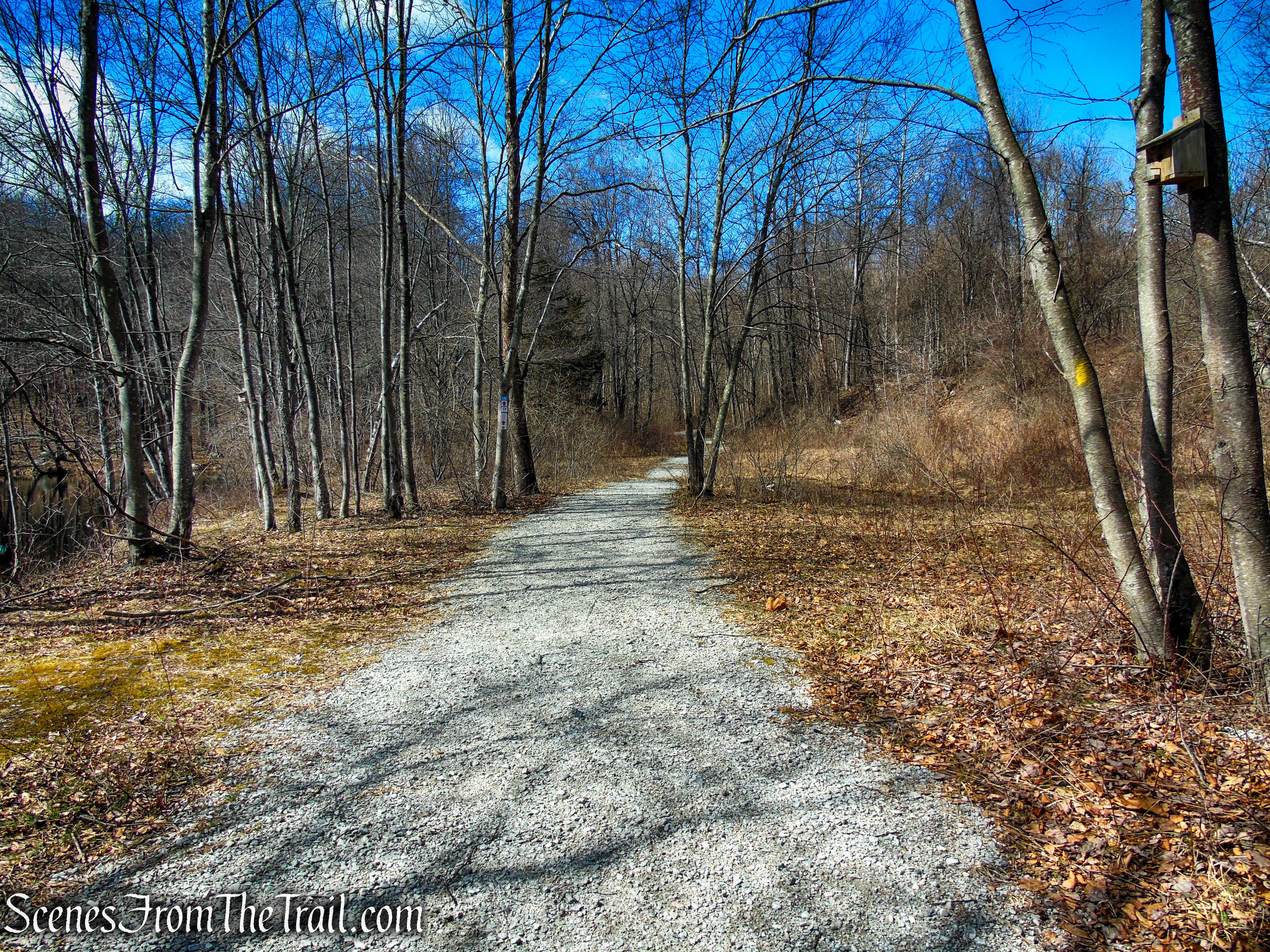 Snow Bowl Loop - Mahlon Dickerson Reservation