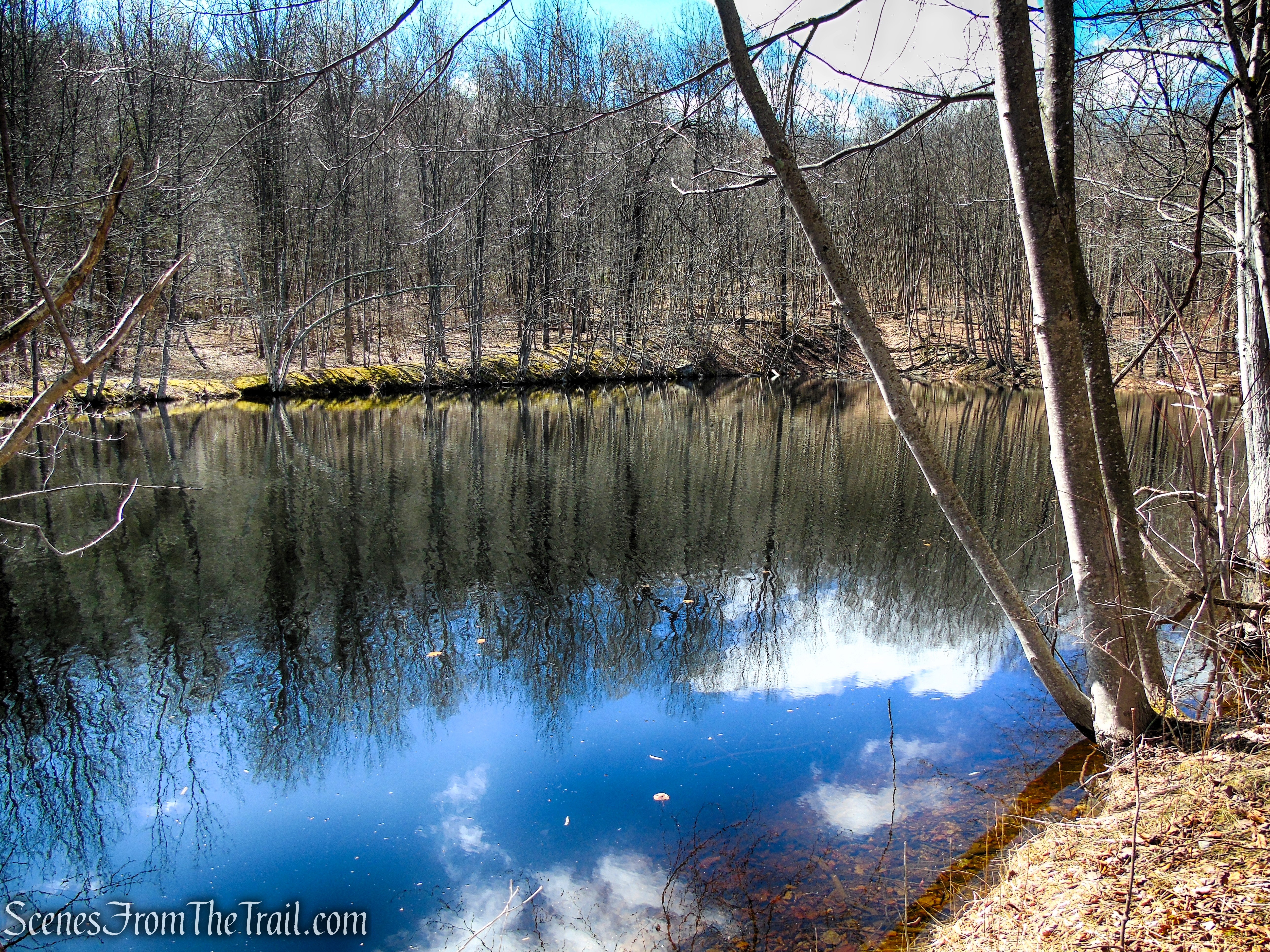 Snow Bowl Loop - Mahlon Dickerson Reservation