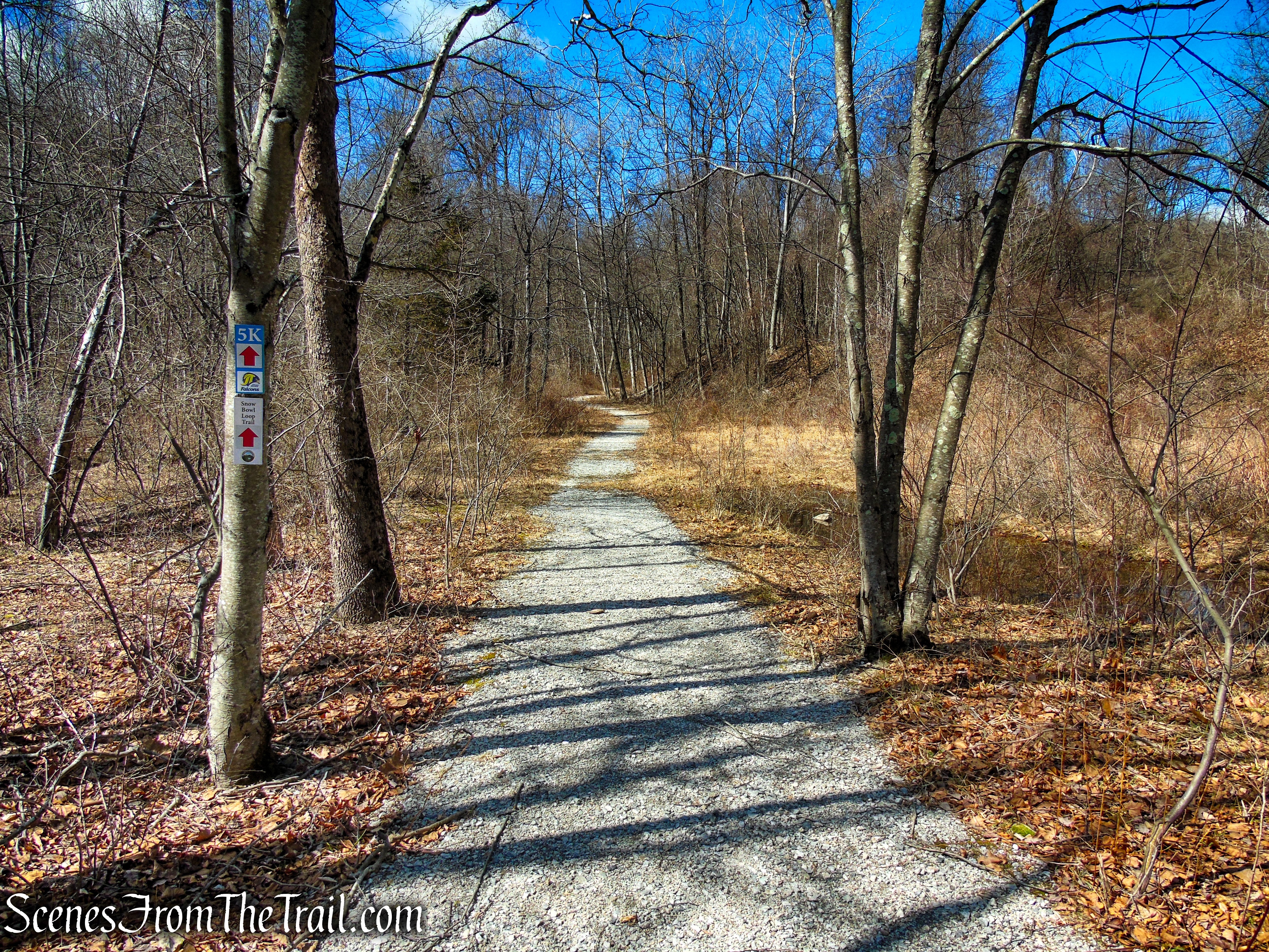 Snow Bowl Loop - Mahlon Dickerson Reservation