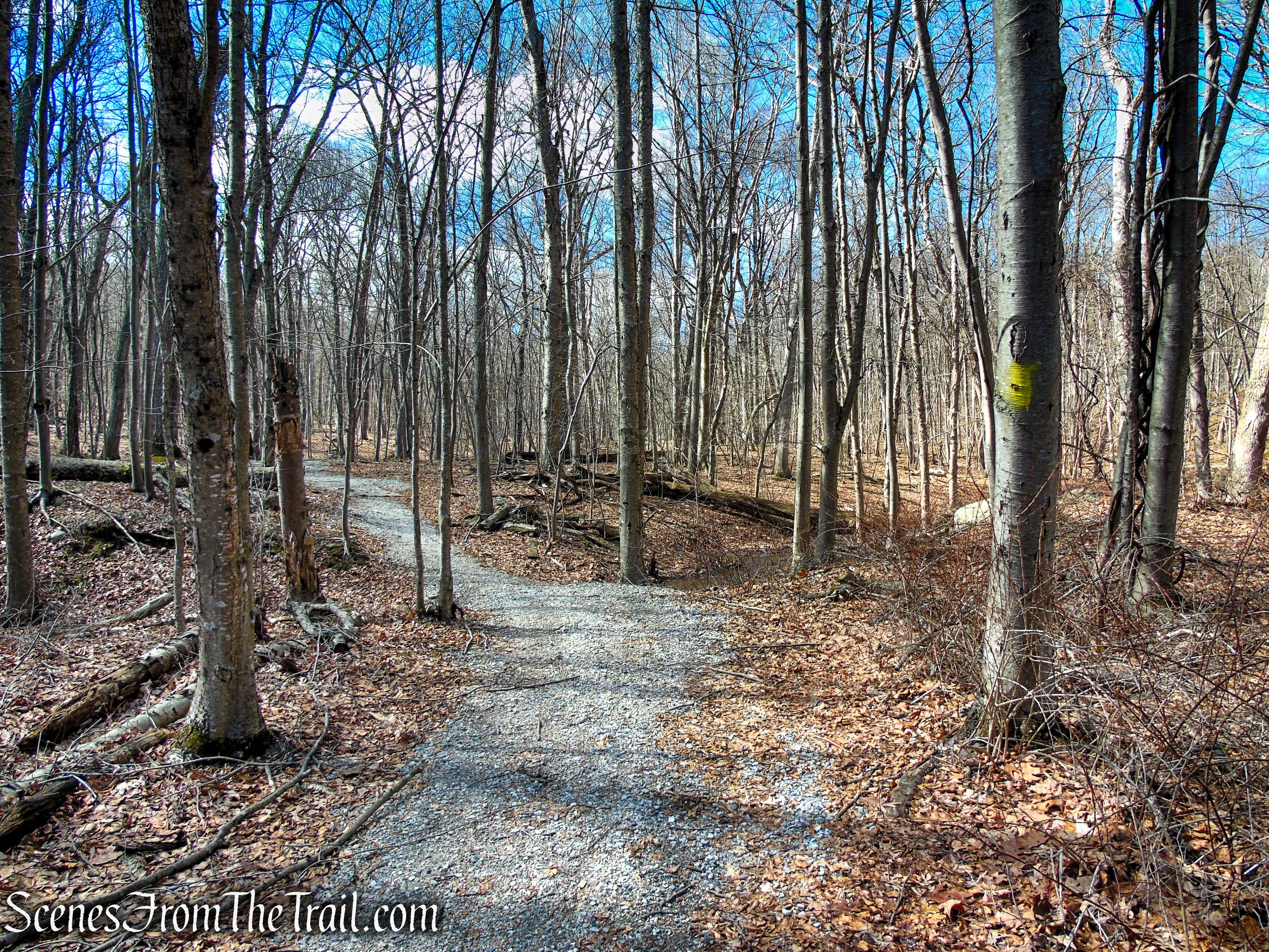 Snow Bowl Loop - Mahlon Dickerson Reservation