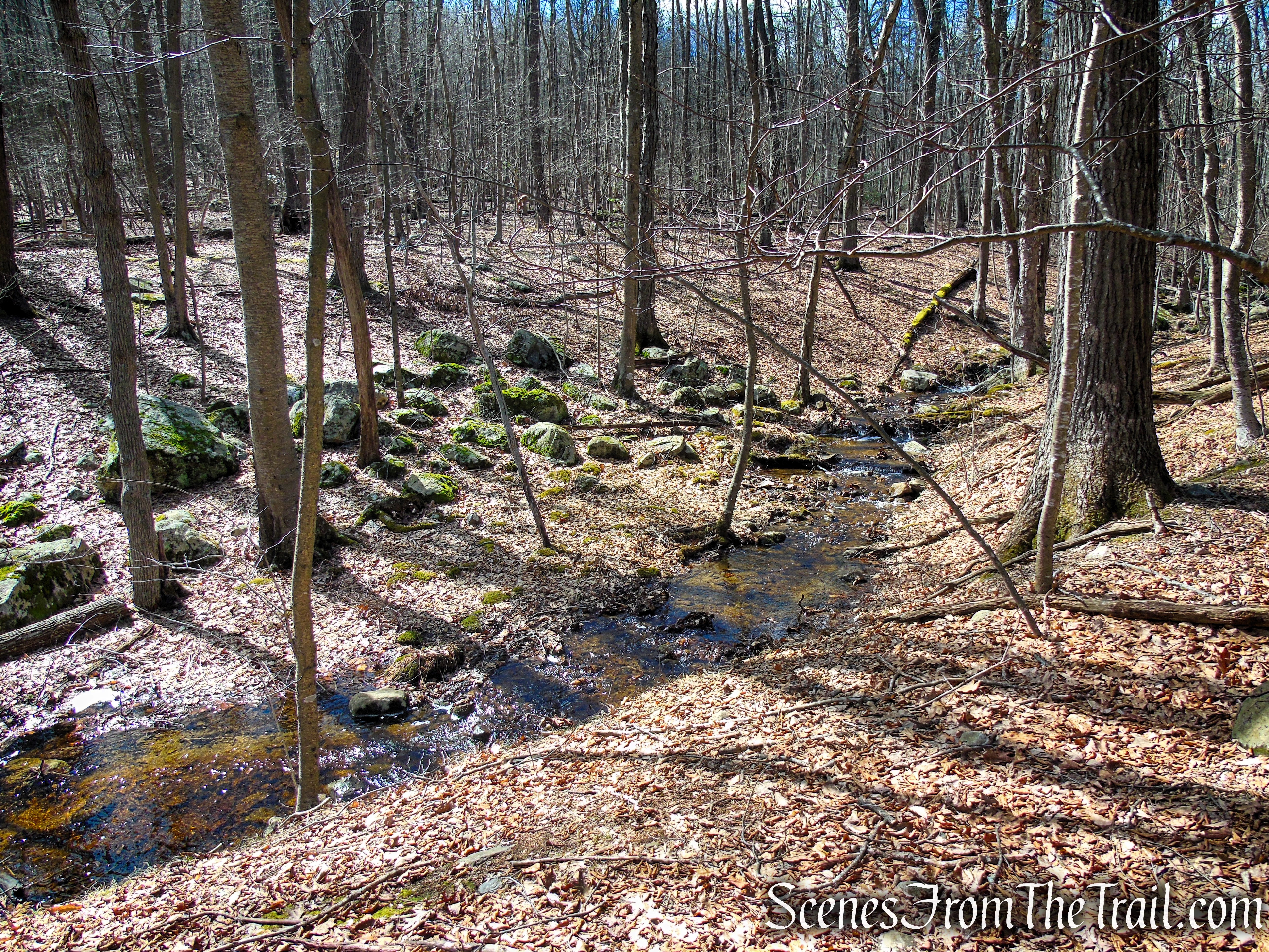 Snow Bowl Loop - Mahlon Dickerson Reservation
