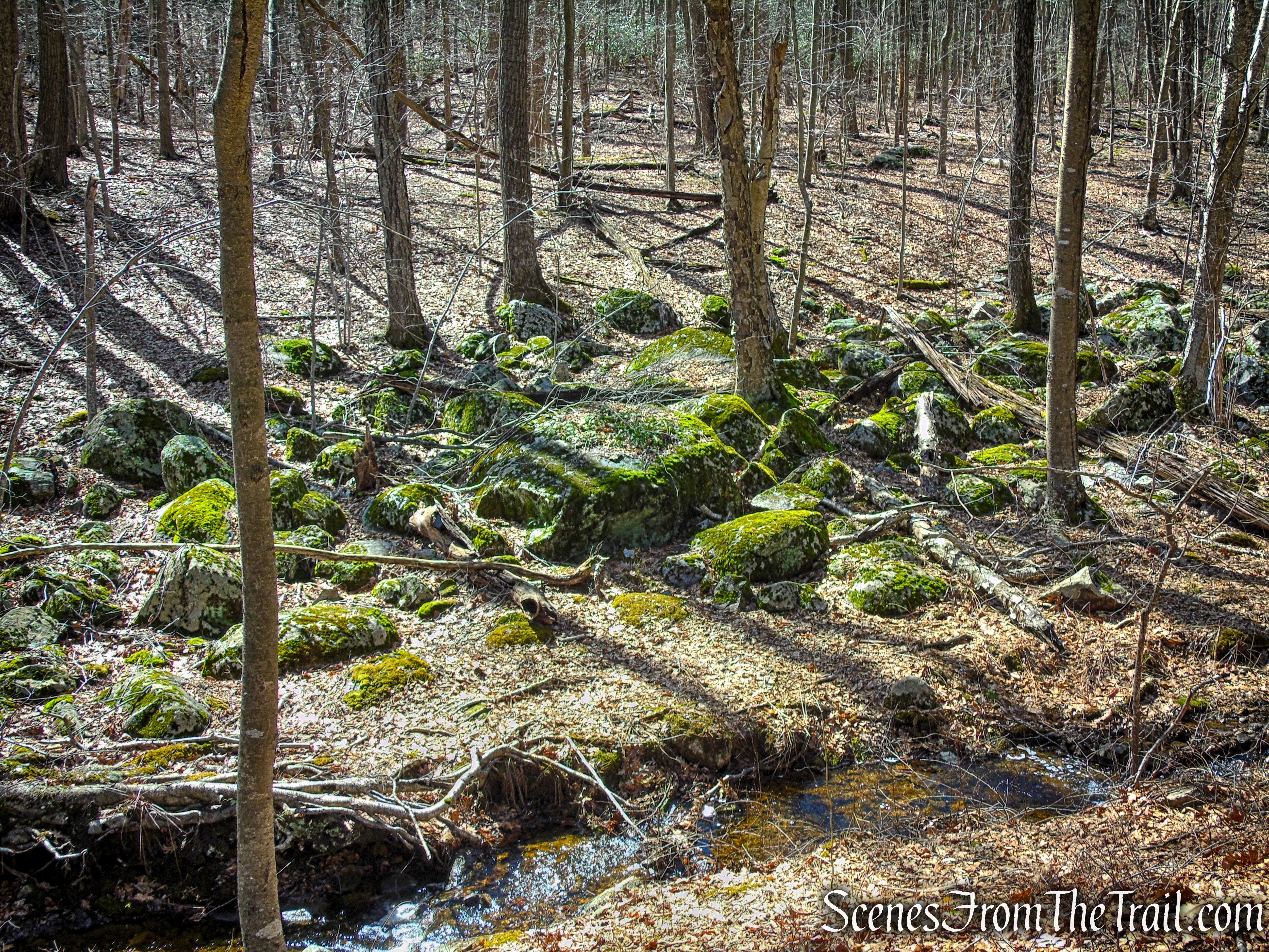 Snow Bowl Loop - Mahlon Dickerson Reservation