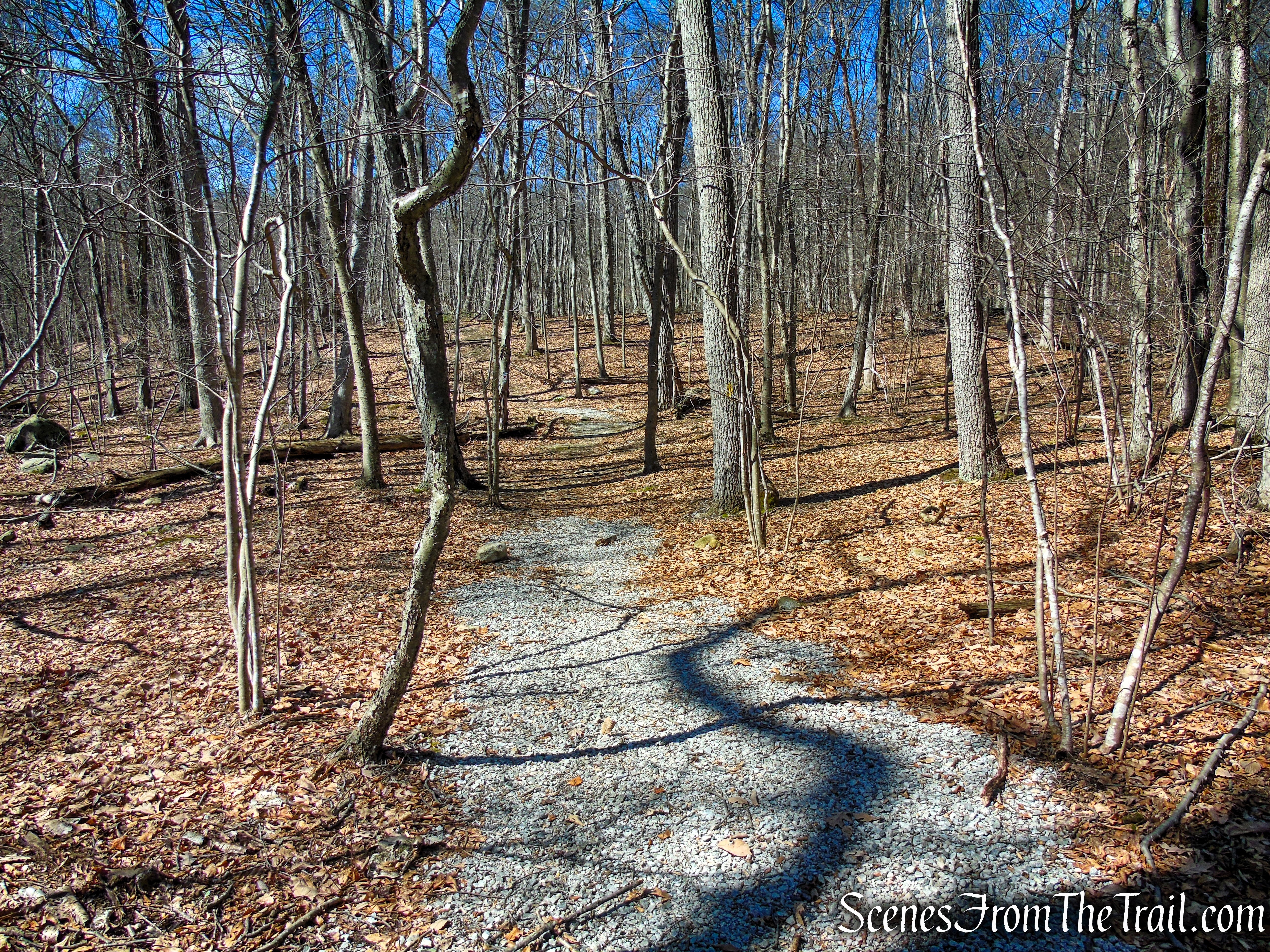 Snow Bowl Loop - Mahlon Dickerson Reservation