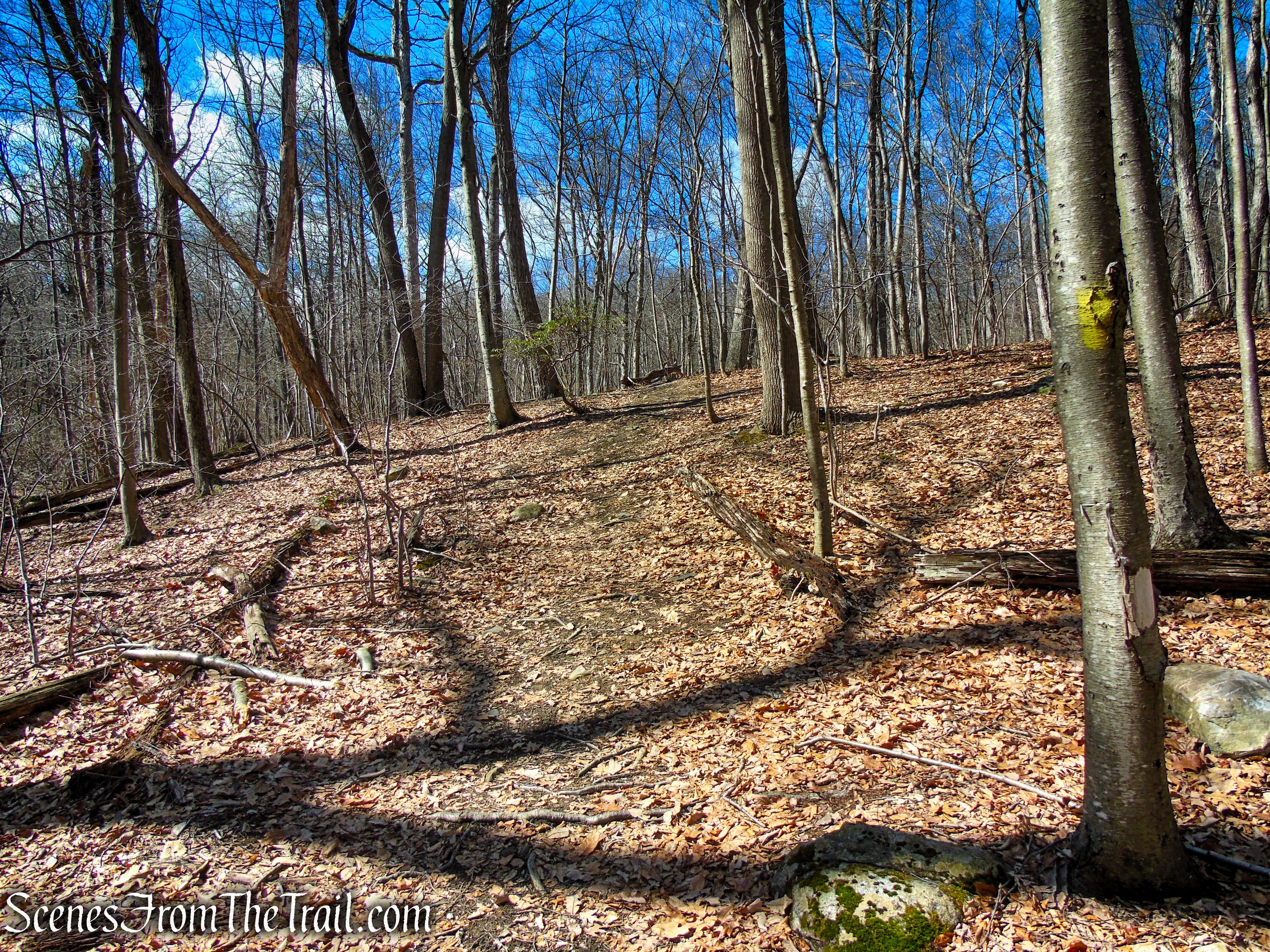 Snow Bowl Loop - Mahlon Dickerson Reservation