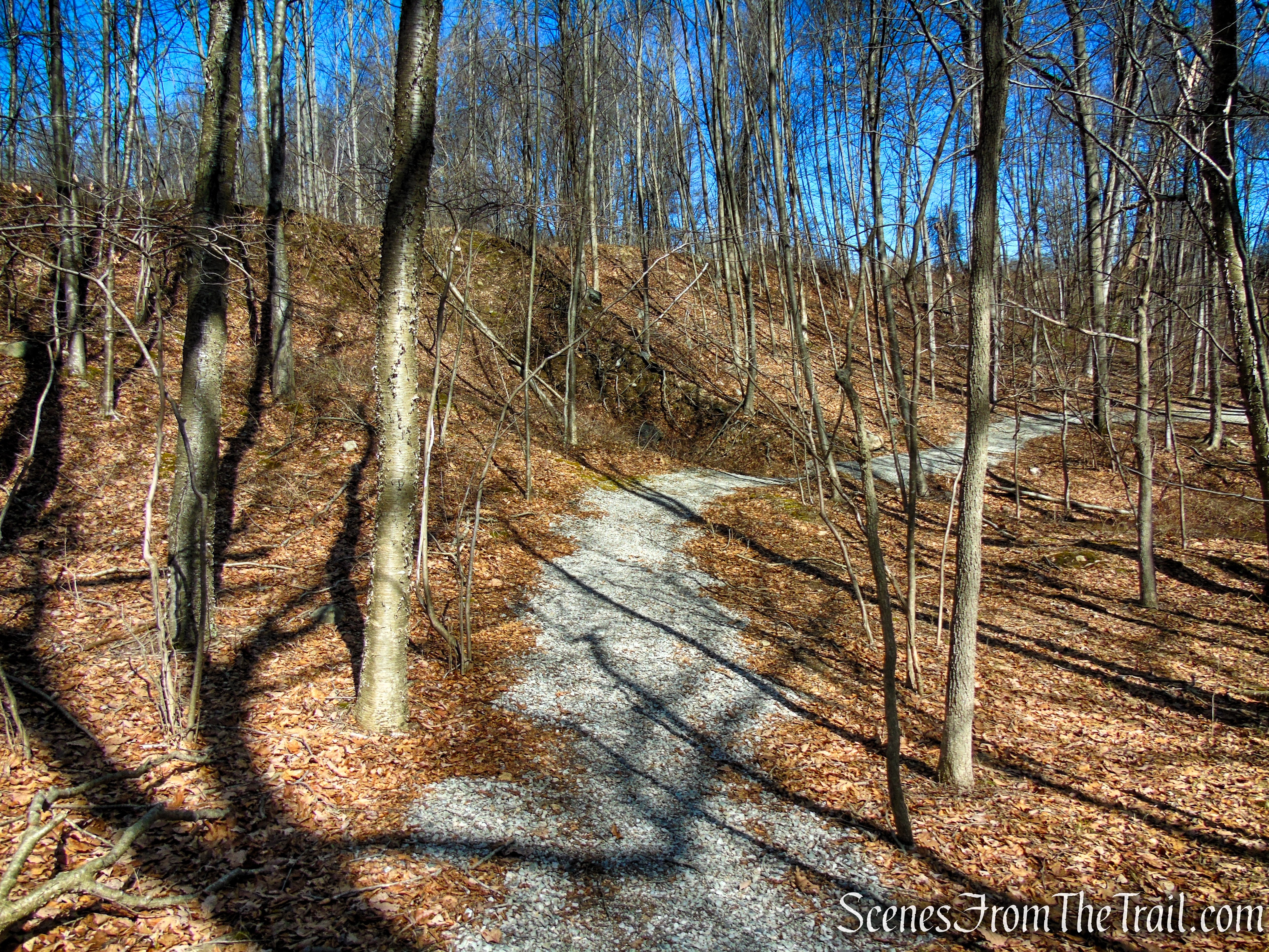 Snow Bowl Loop - Mahlon Dickerson Reservation
