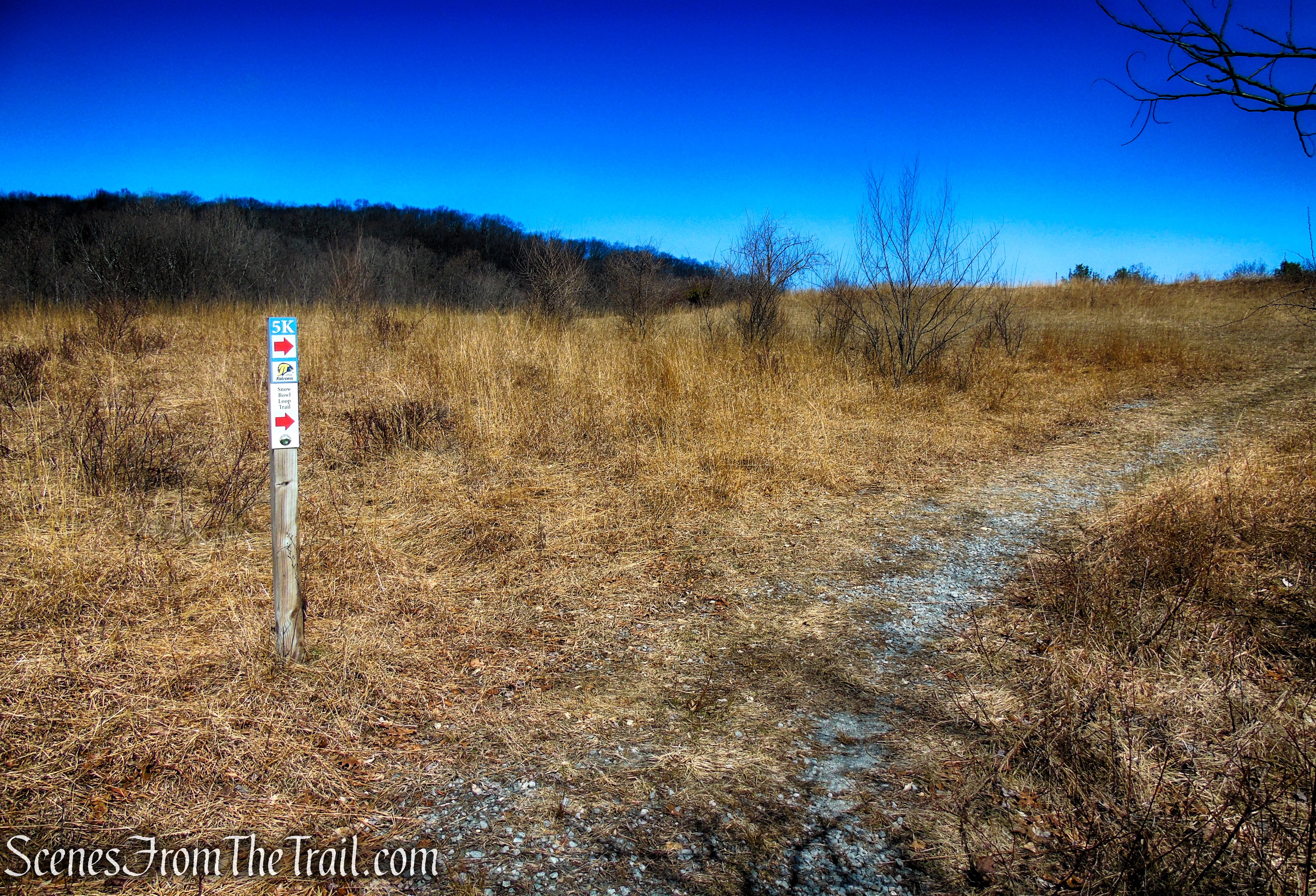 Snow Bowl Loop - Mahlon Dickerson Reservation