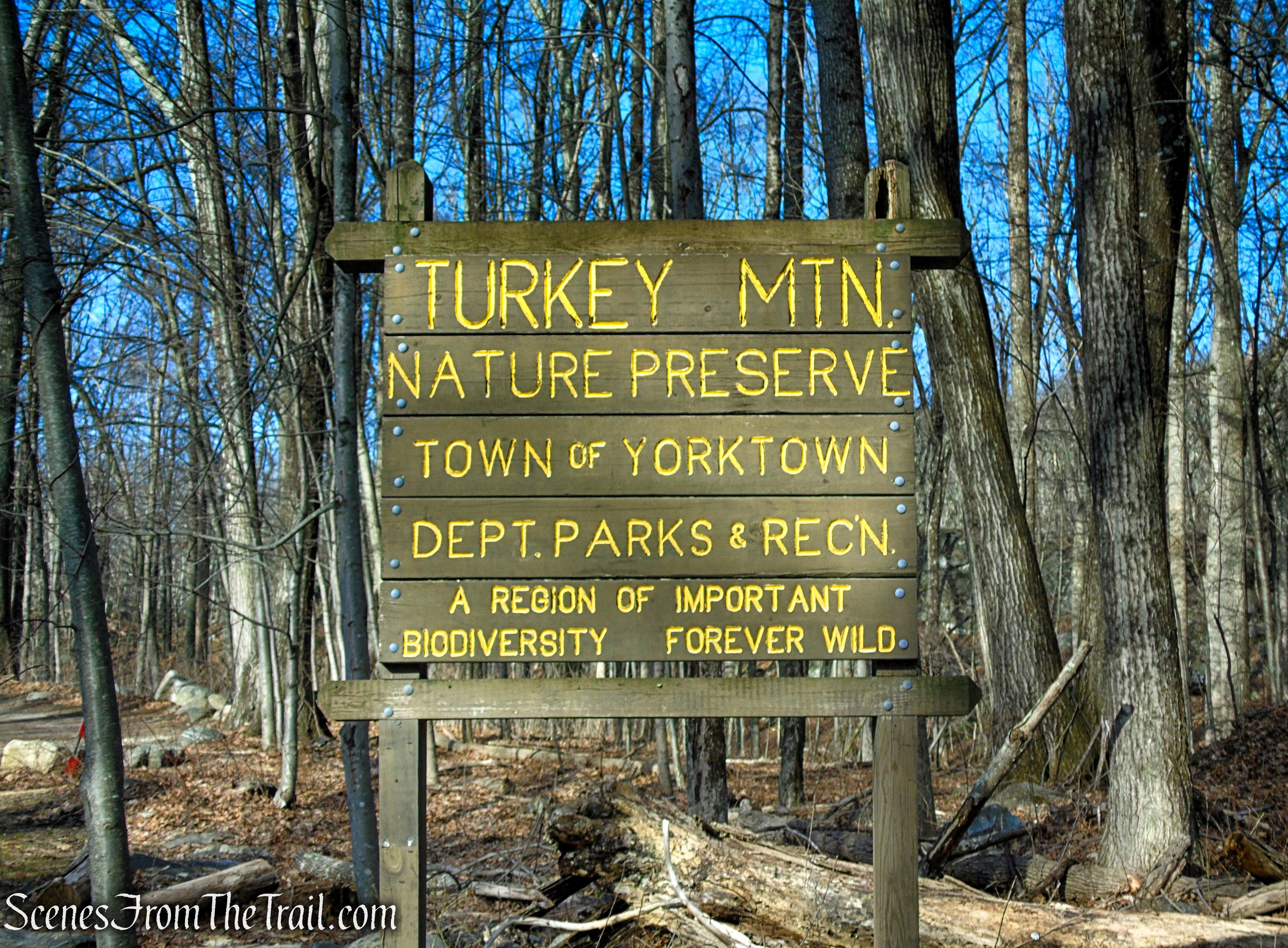 Turkey Mountain Nature Preserve