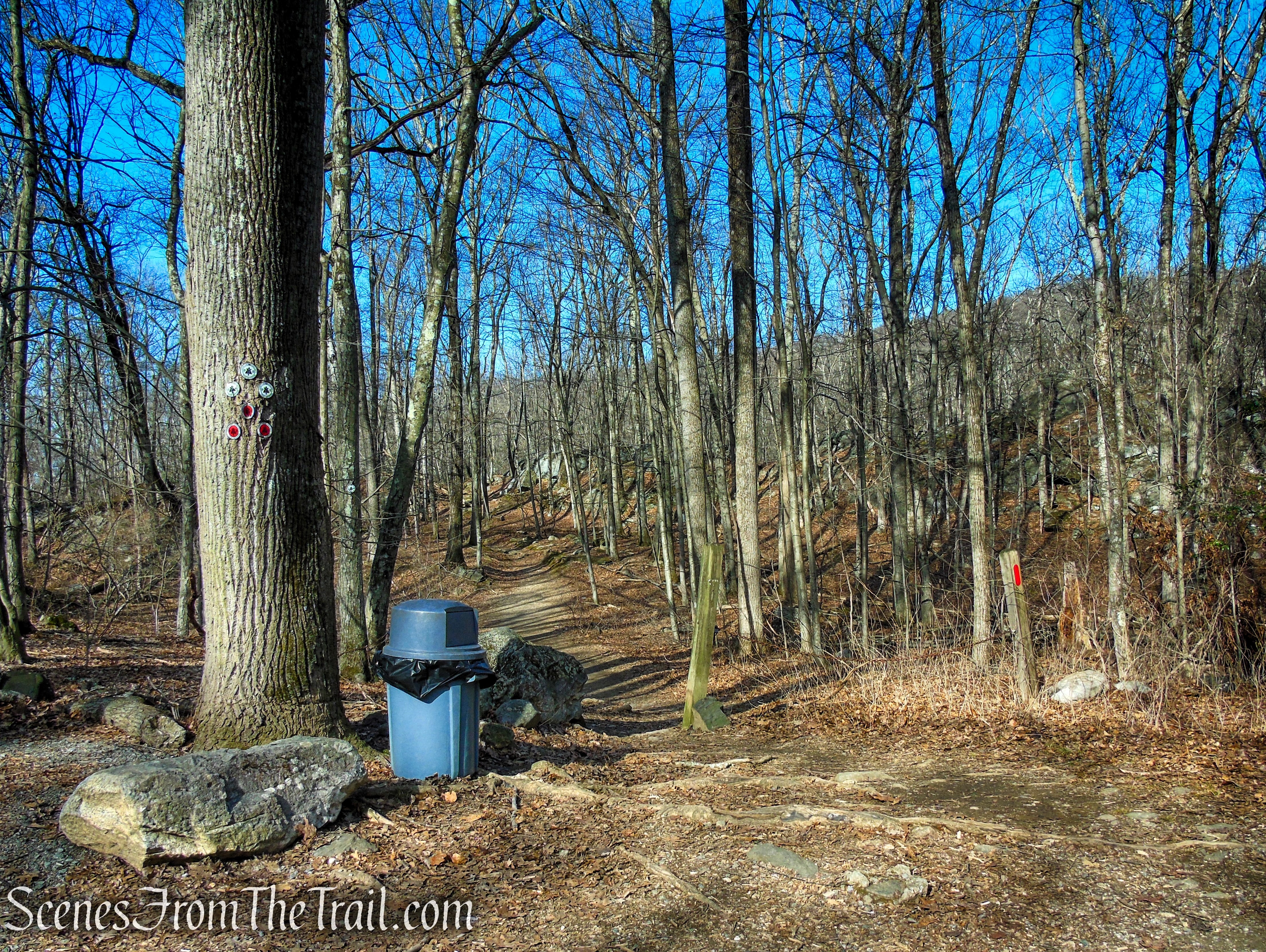 White Trail - Turkey Mountain Nature Preserve