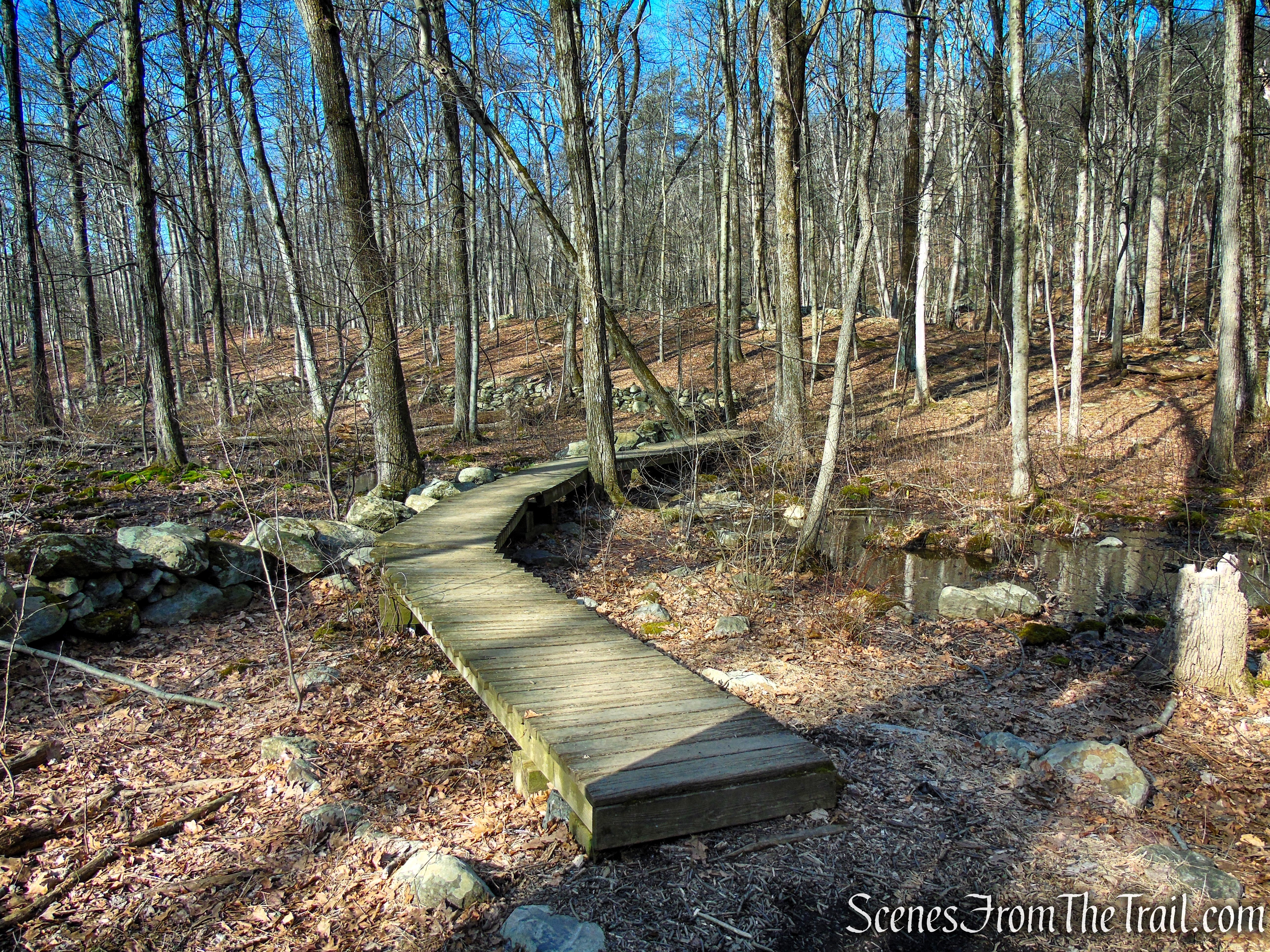 White Trail - Turkey Mountain Nature Preserve