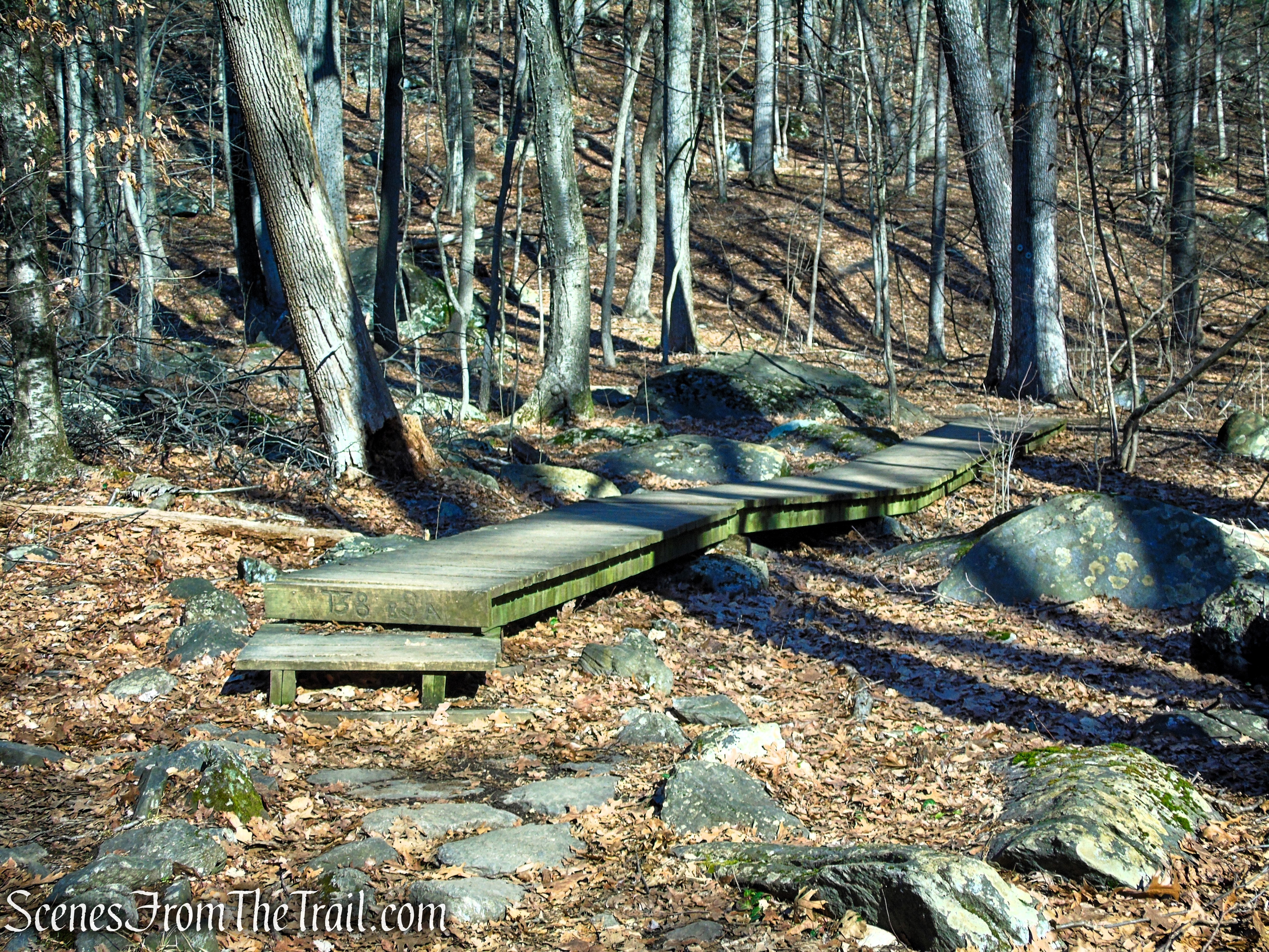White Trail - Turkey Mountain Nature Preserve