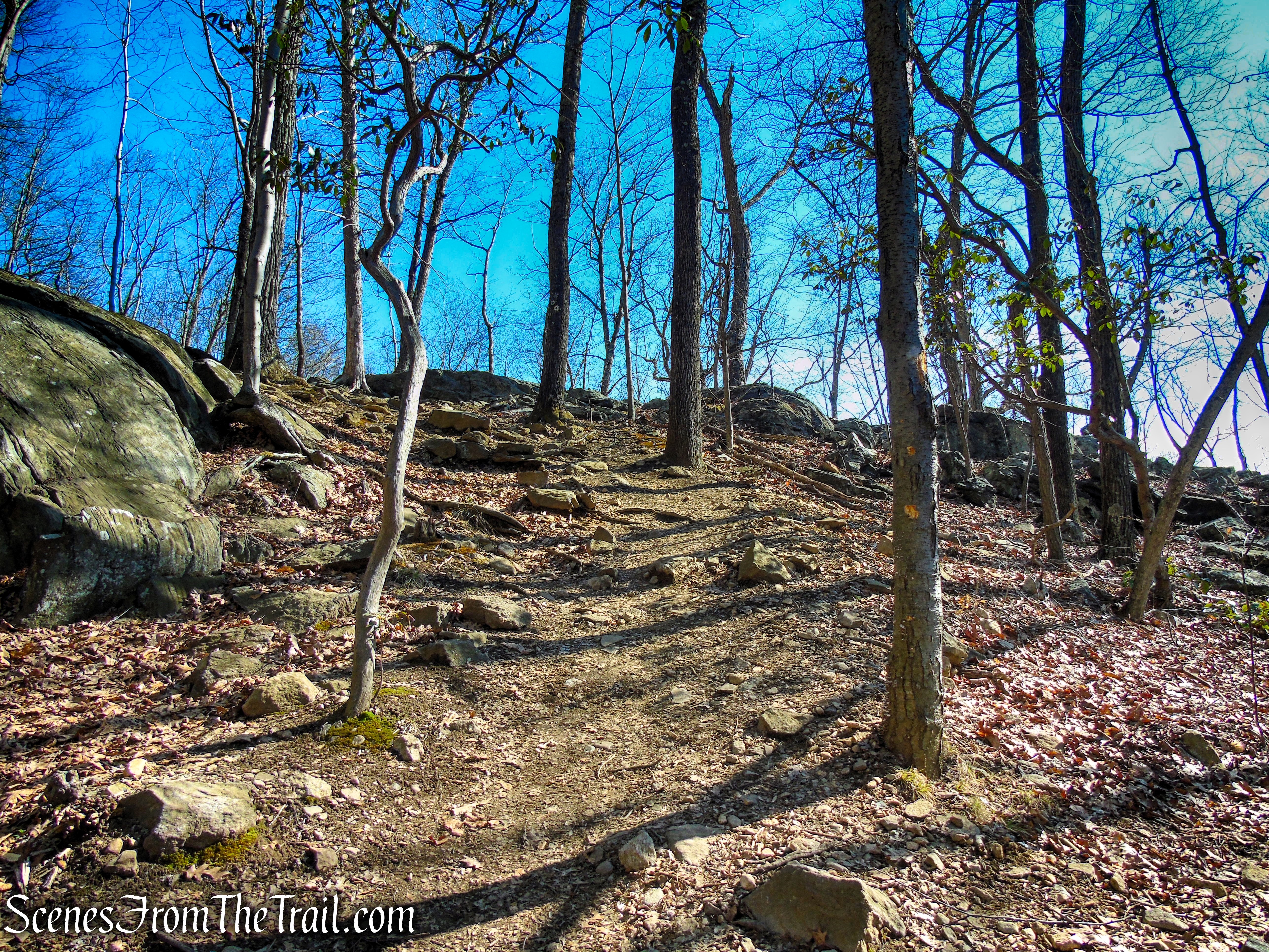 White Trail - Turkey Mountain Nature Preserve