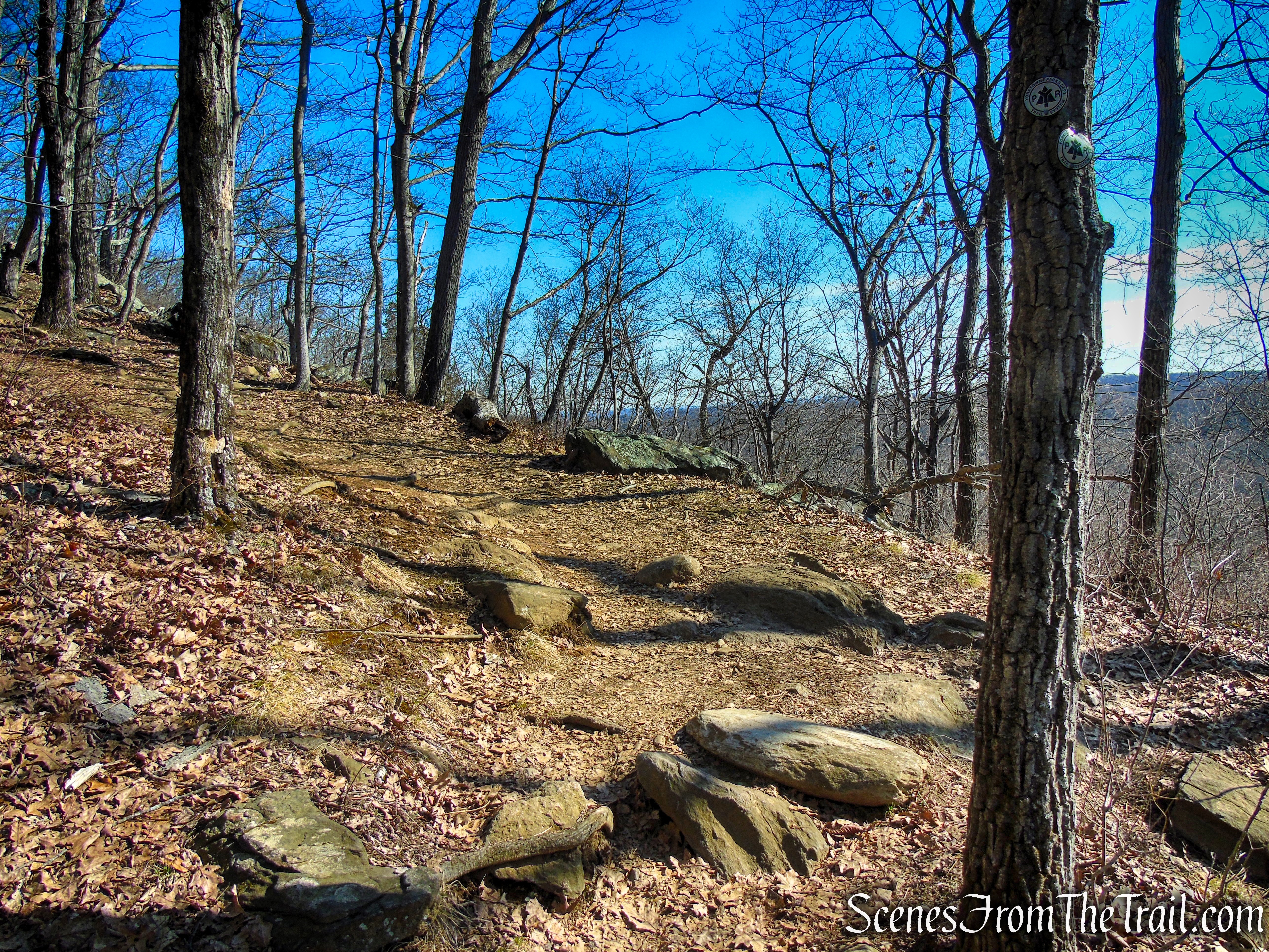 White Trail - Turkey Mountain Nature Preserve