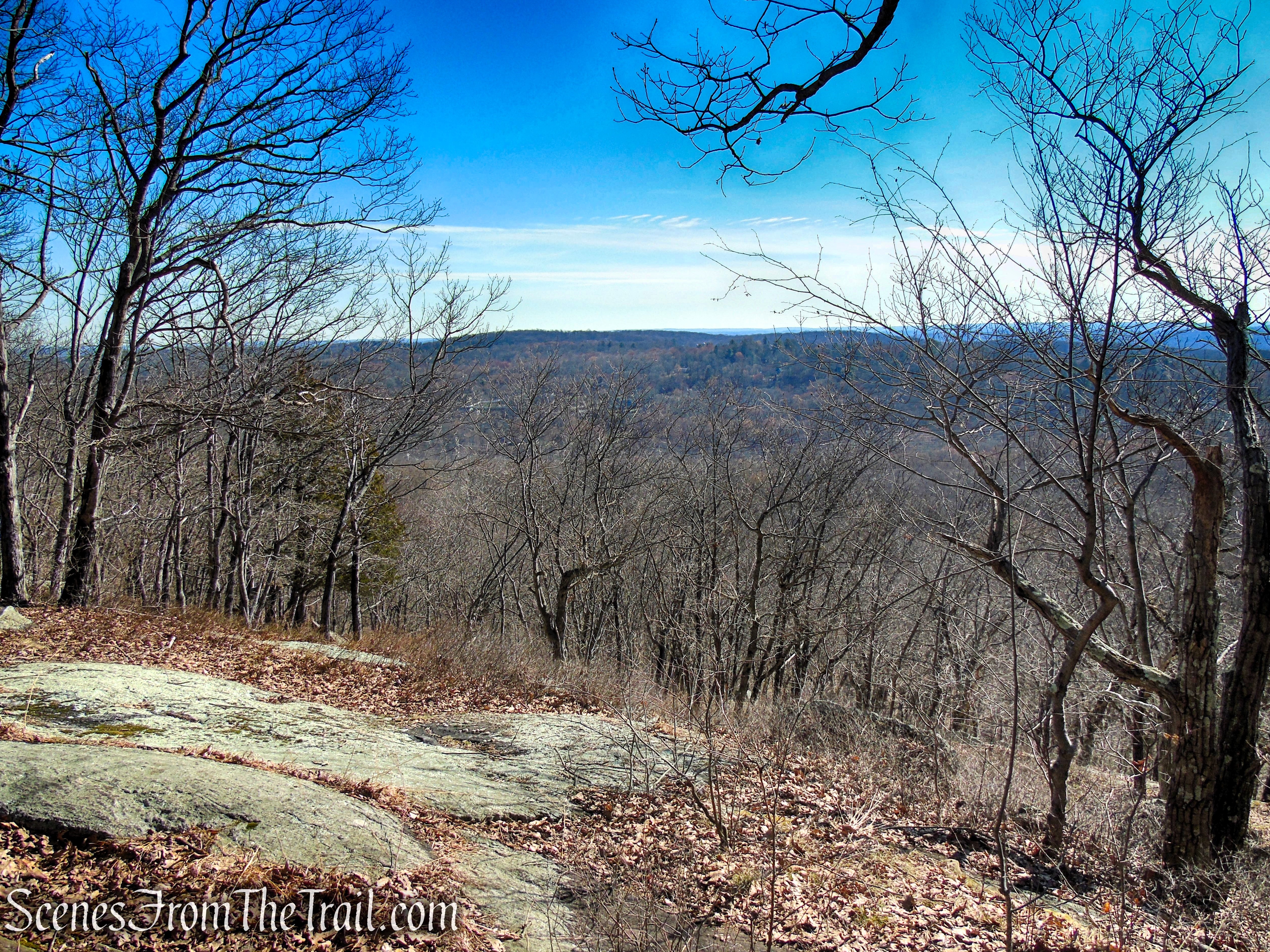 White Trail - Turkey Mountain Nature Preserve
