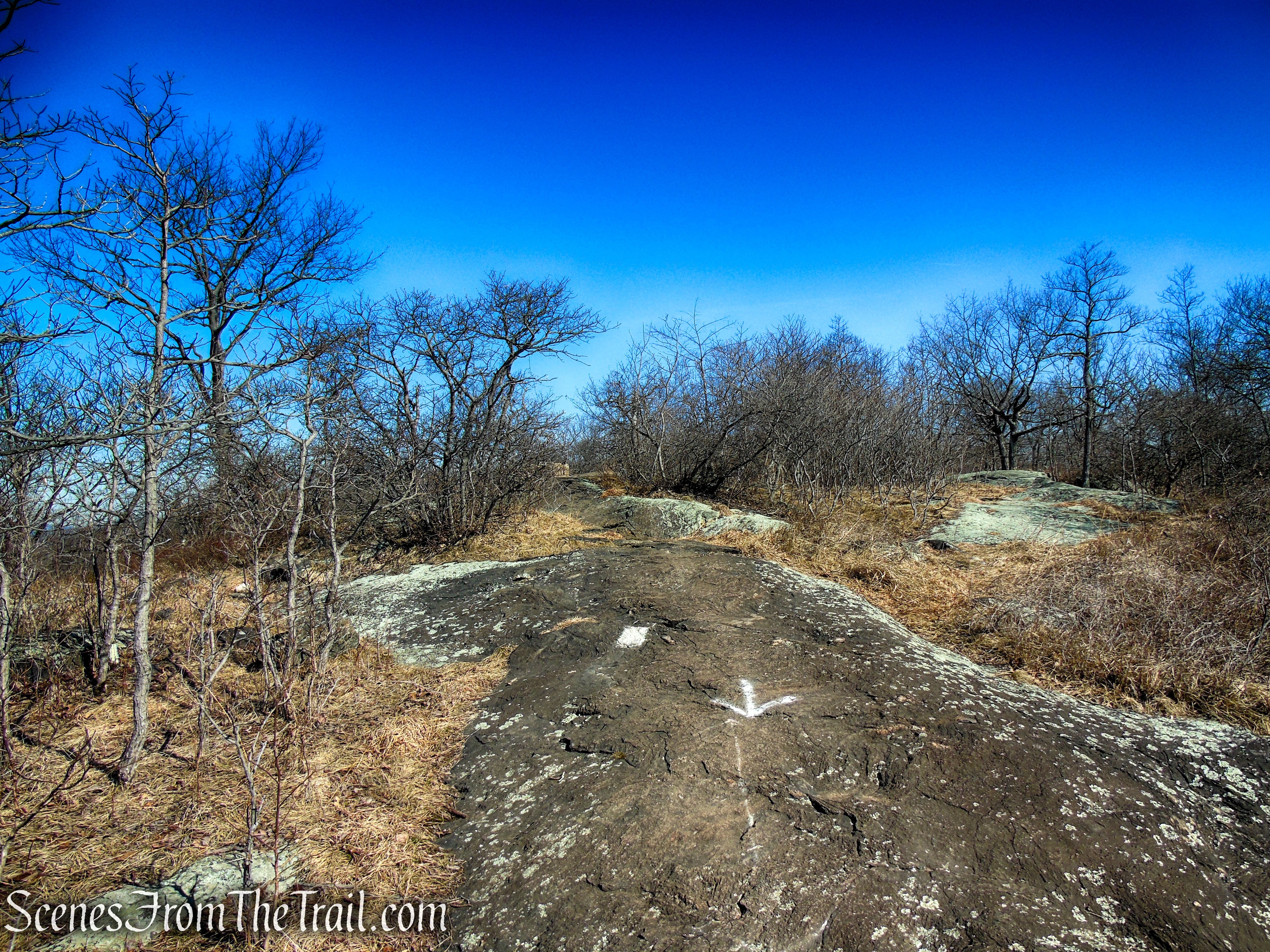 White Trail - Turkey Mountain Nature Preserve