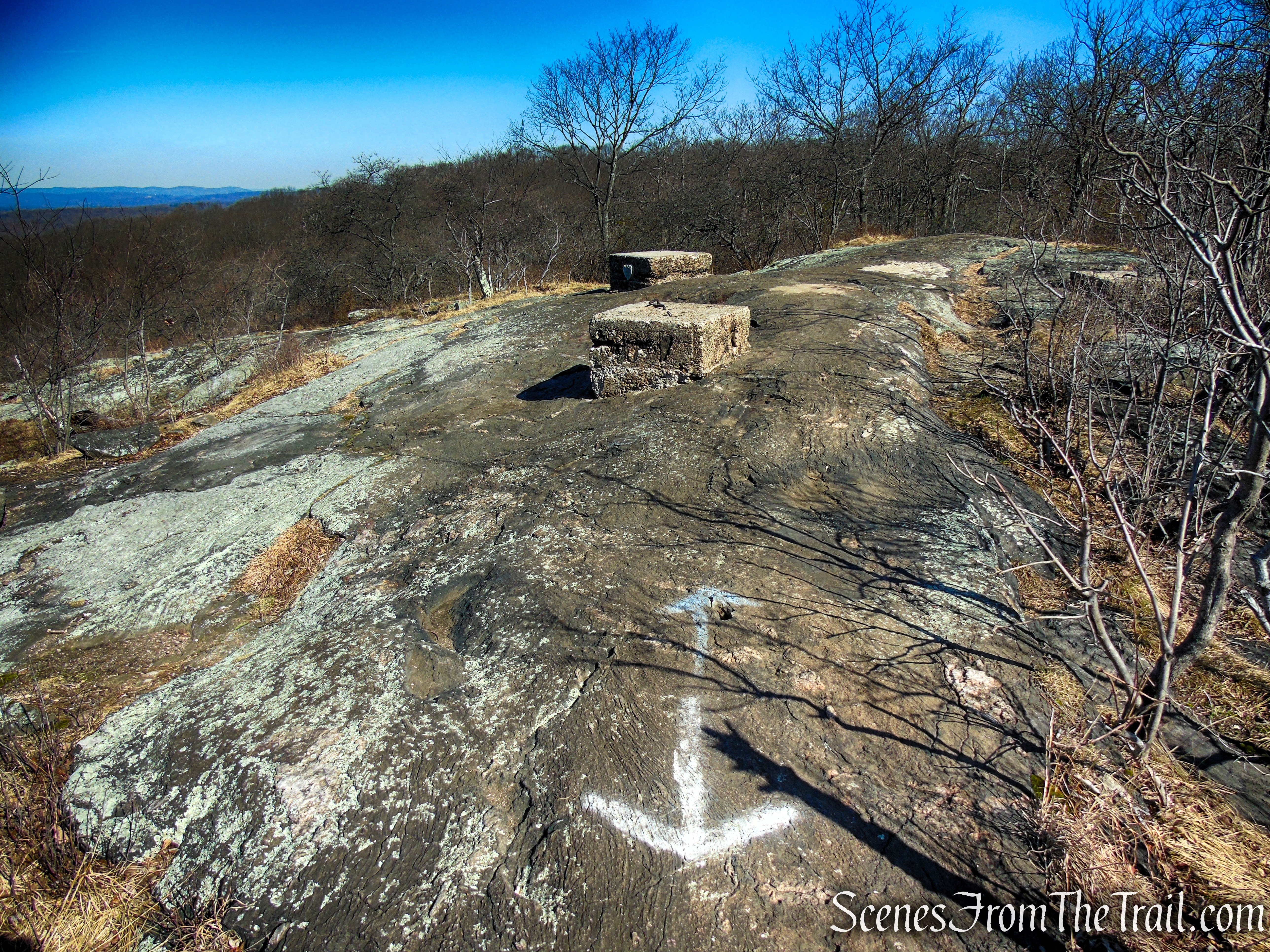 End of White Trail - Turkey Mountain summit