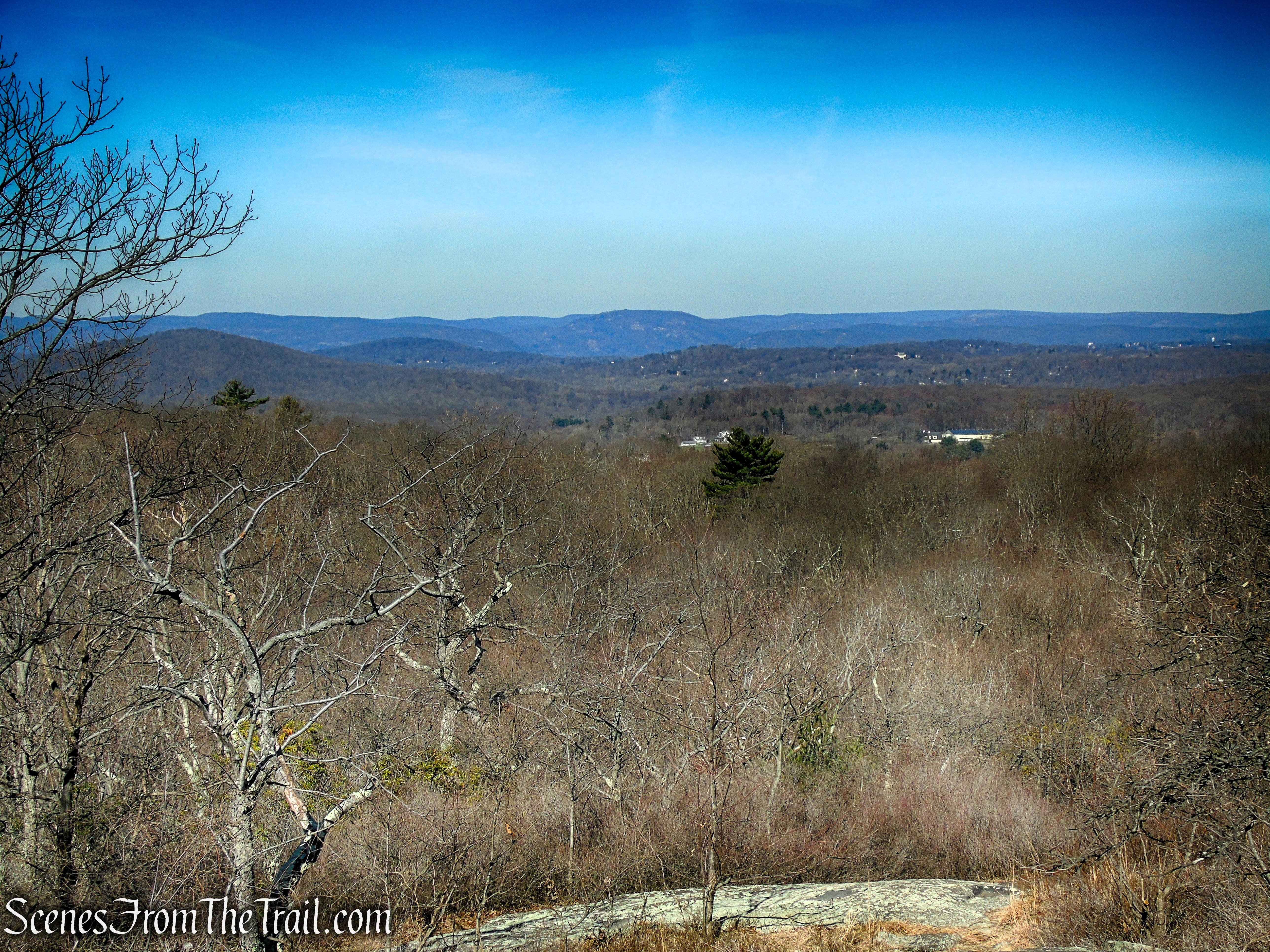 Turkey Mountain summit