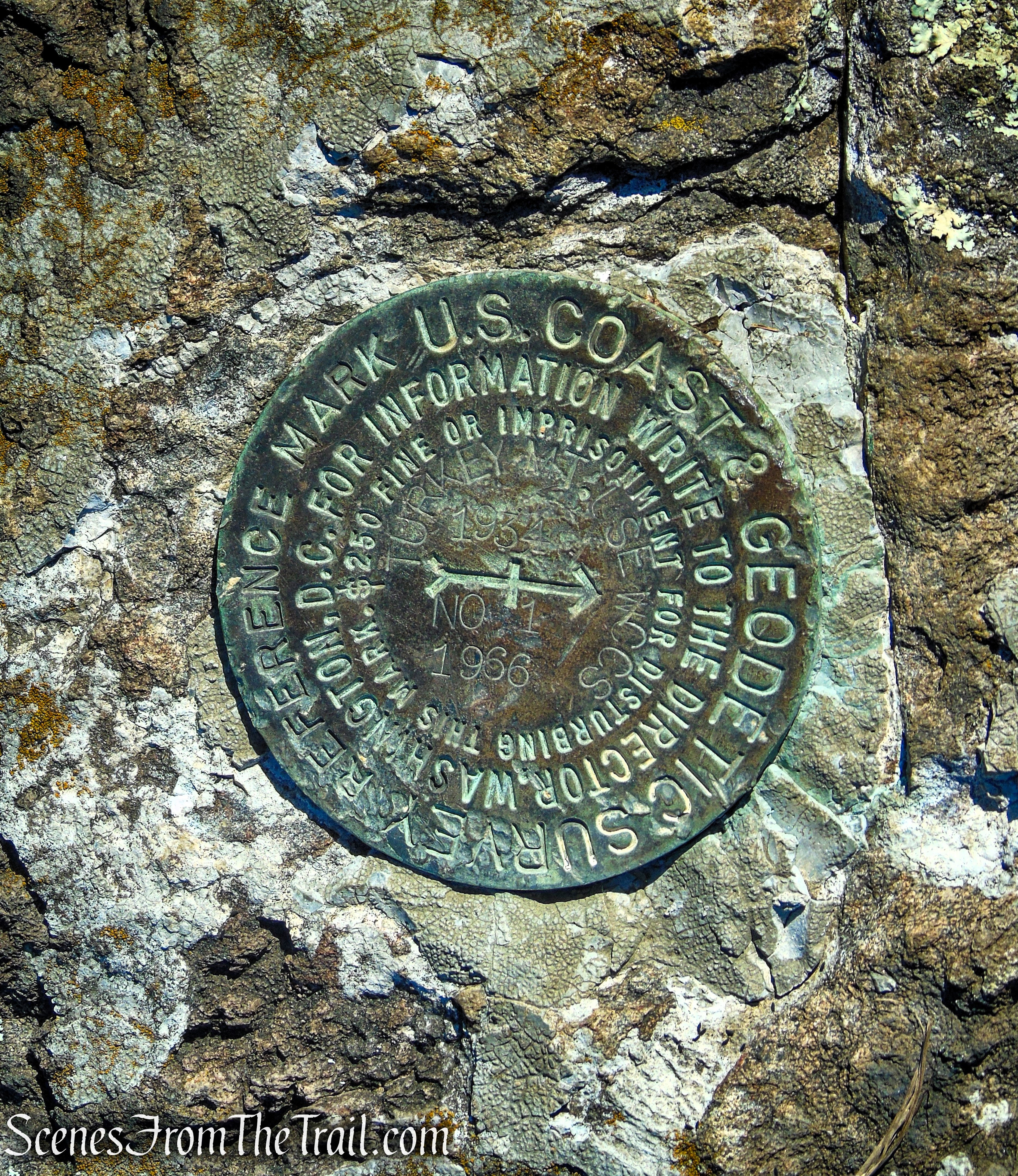 Turkey Mountain summit