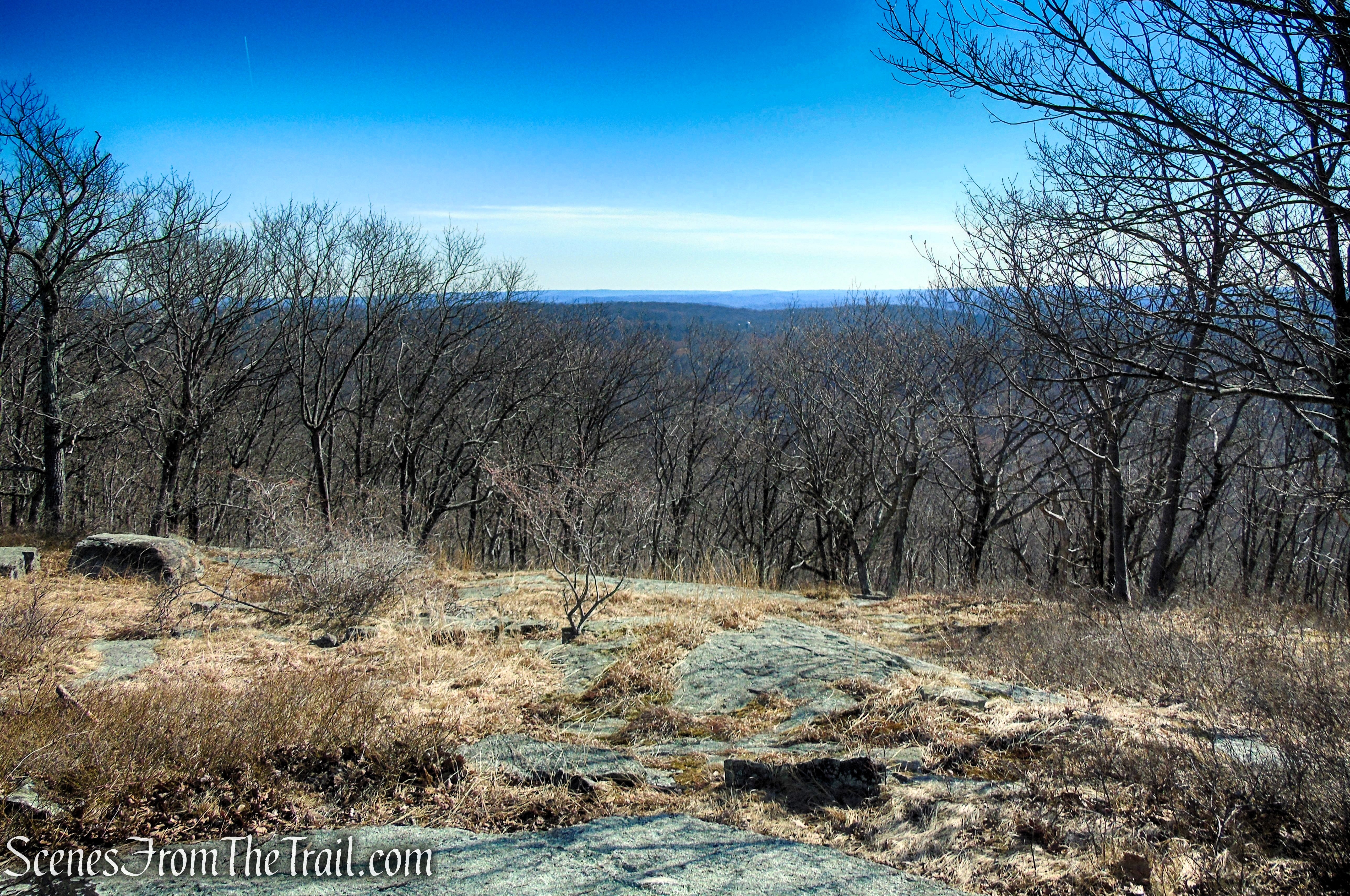 Blue Trail - Turkey Mountain Nature Preserve