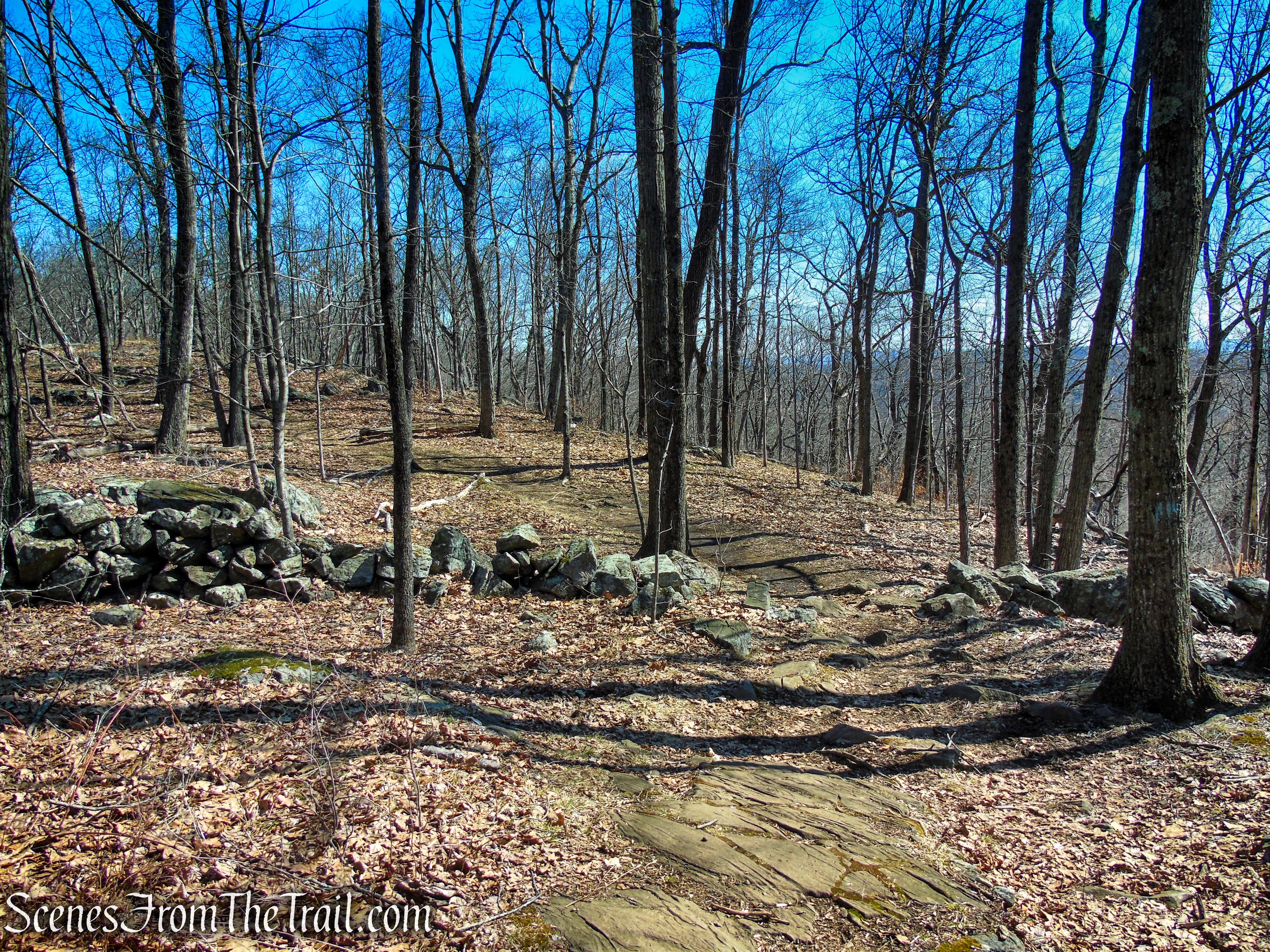 Blue Trail - Turkey Mountain Nature Preserve