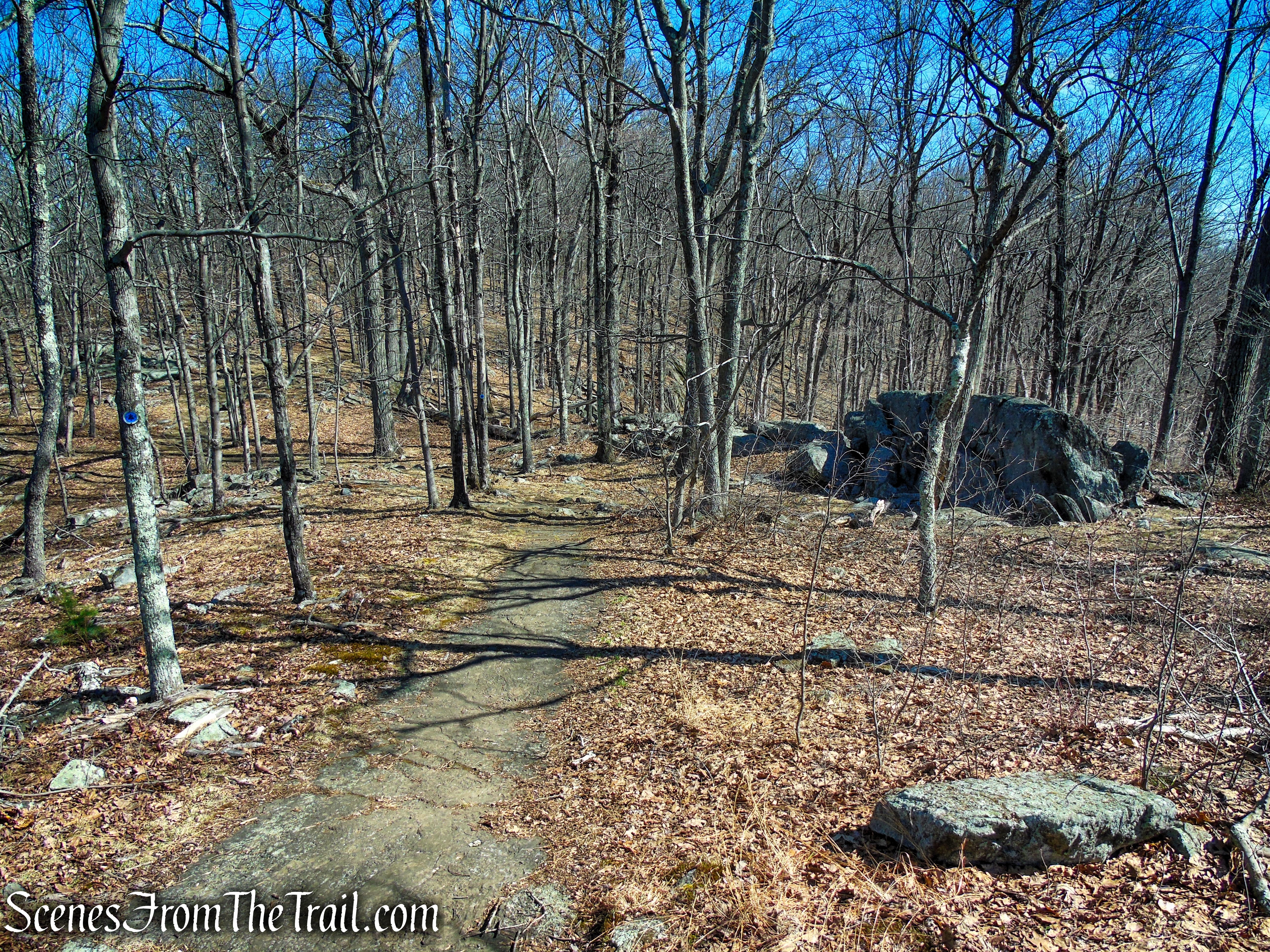Blue Trail - Turkey Mountain Nature Preserve
