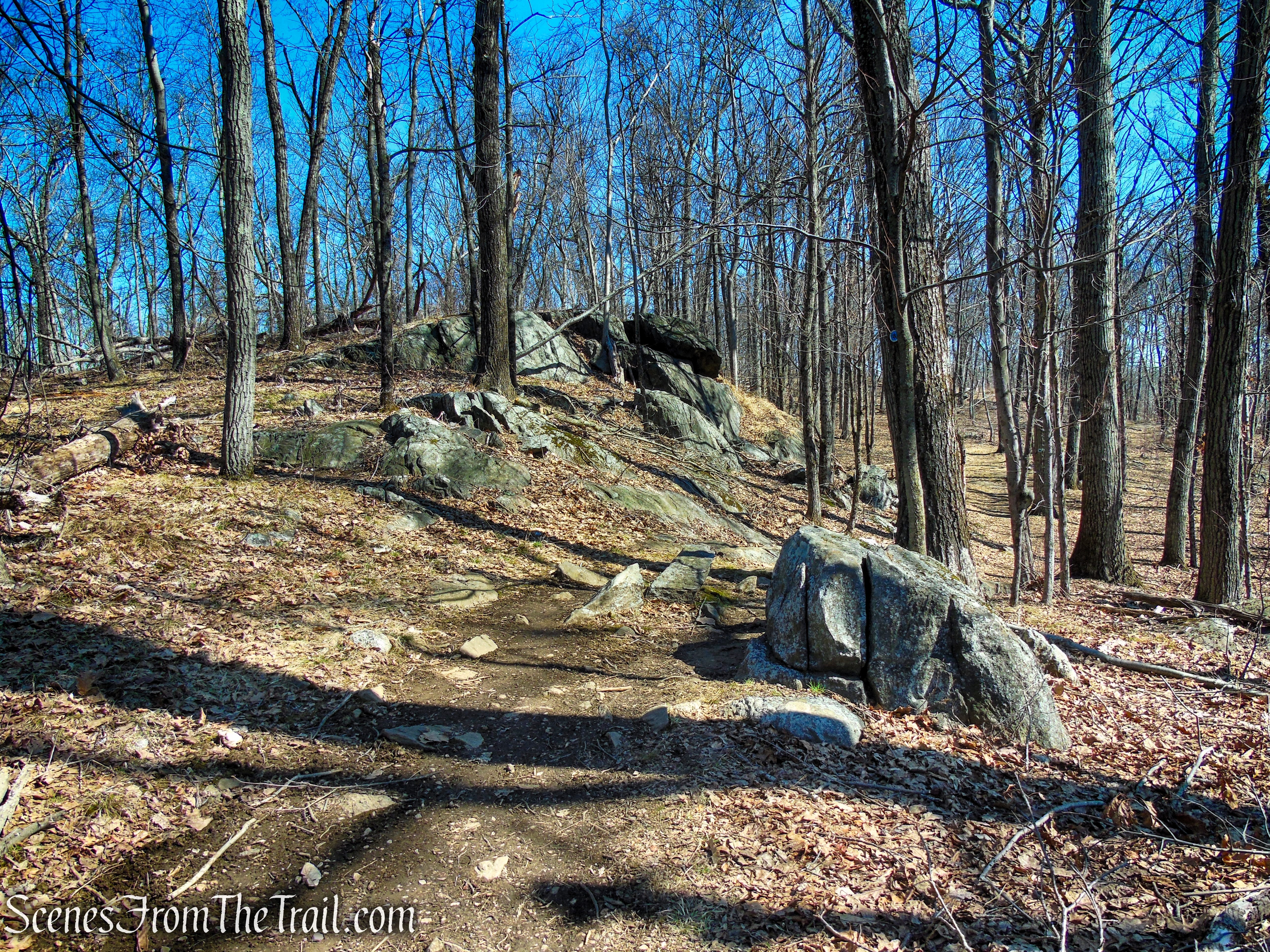Blue Trail - Turkey Mountain Nature Preserve