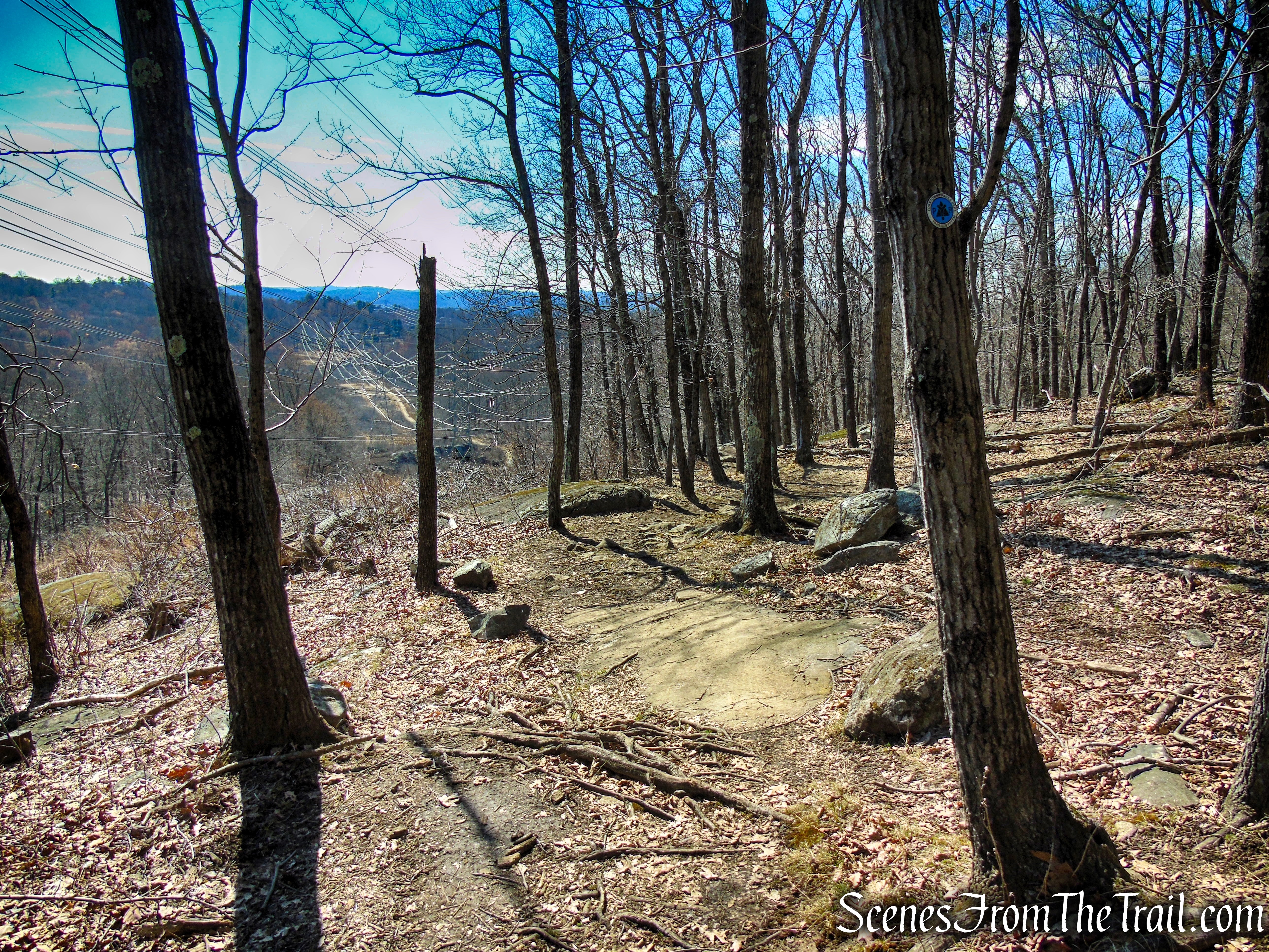 Blue Trail - Turkey Mountain Nature Preserve
