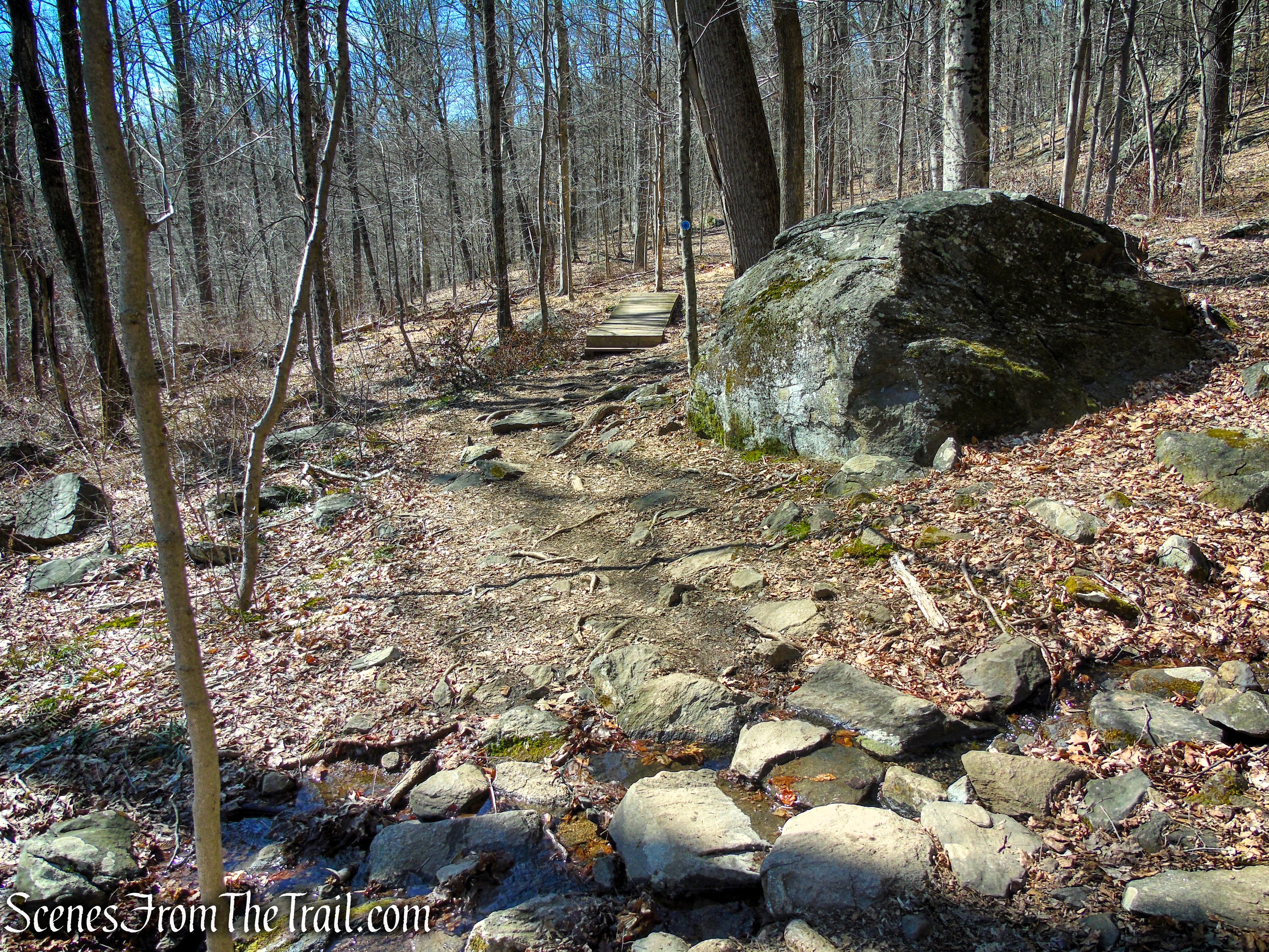 Blue Trail - Turkey Mountain Nature Preserve