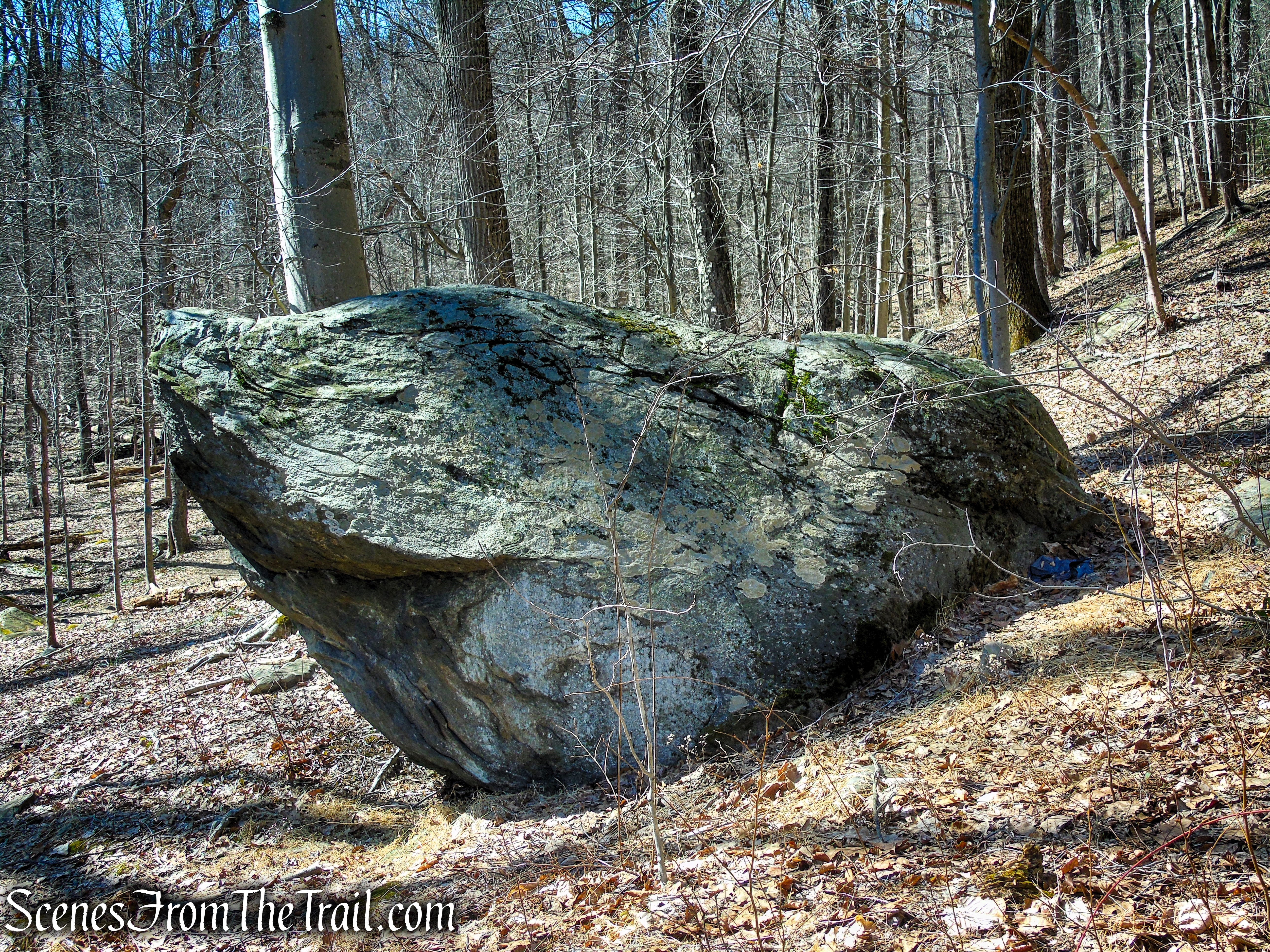 Blue Trail - Turkey Mountain Nature Preserve