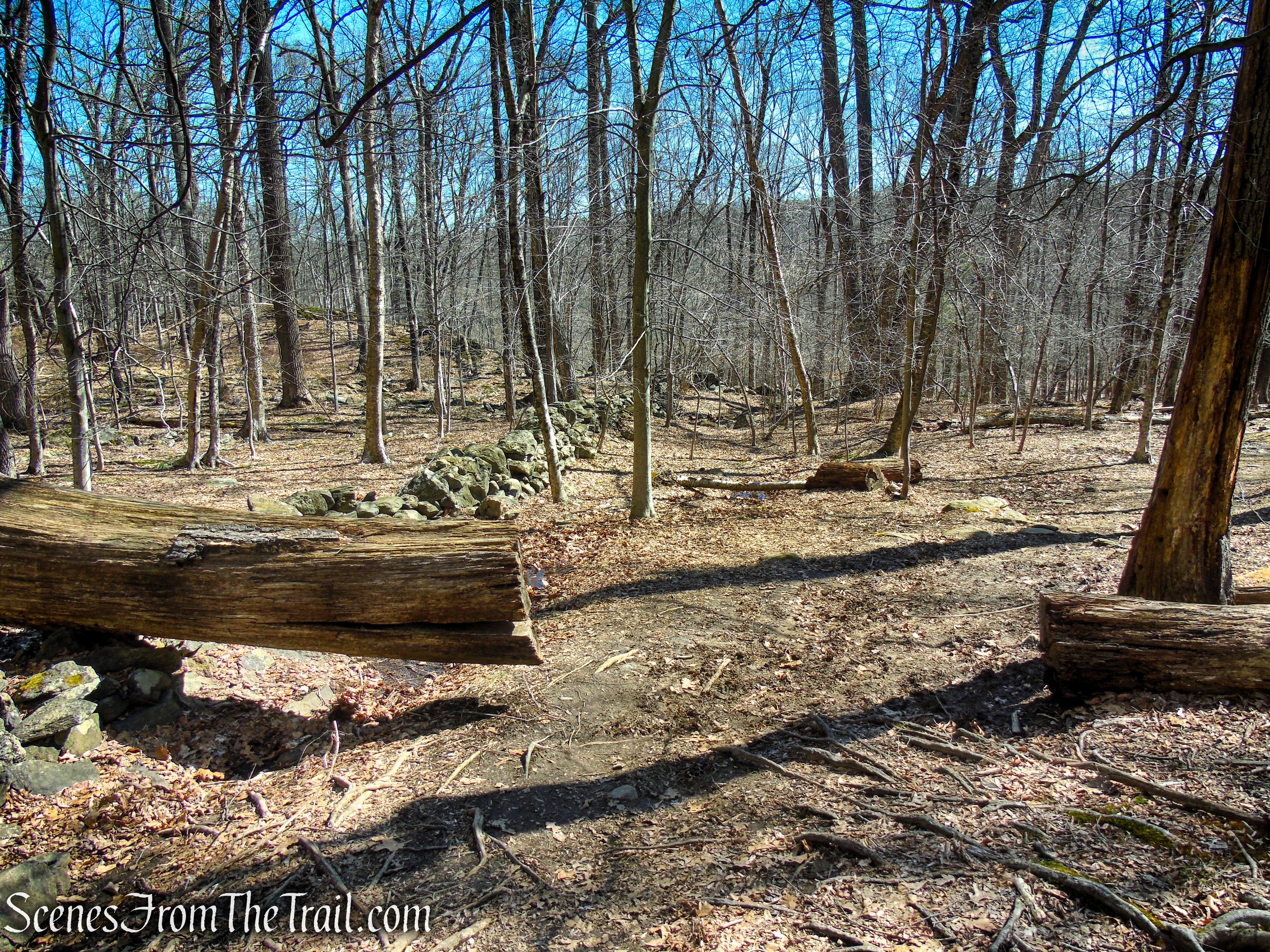 Blue Trail - Turkey Mountain Nature Preserve