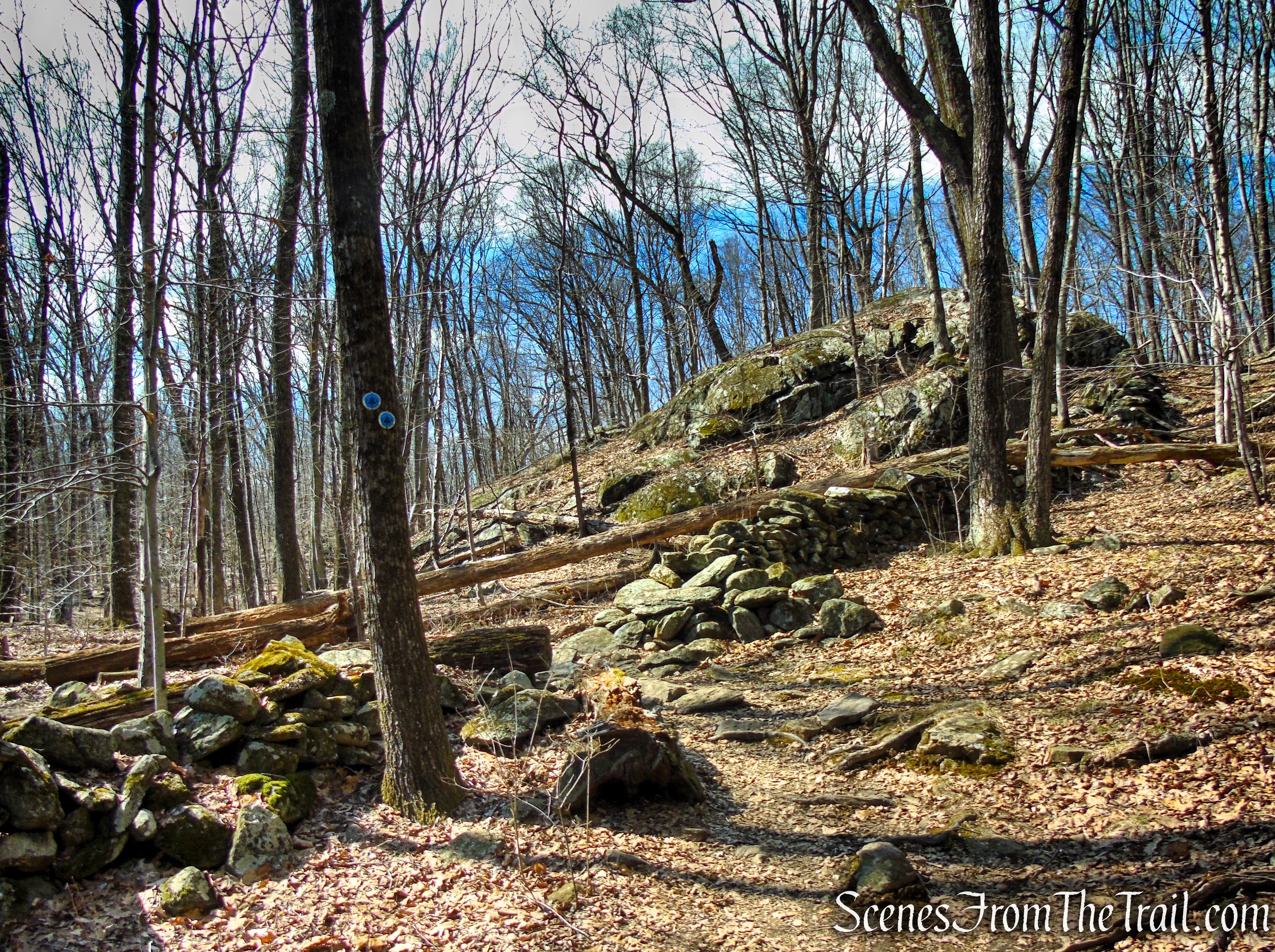 Blue Trail - Turkey Mountain Nature Preserve