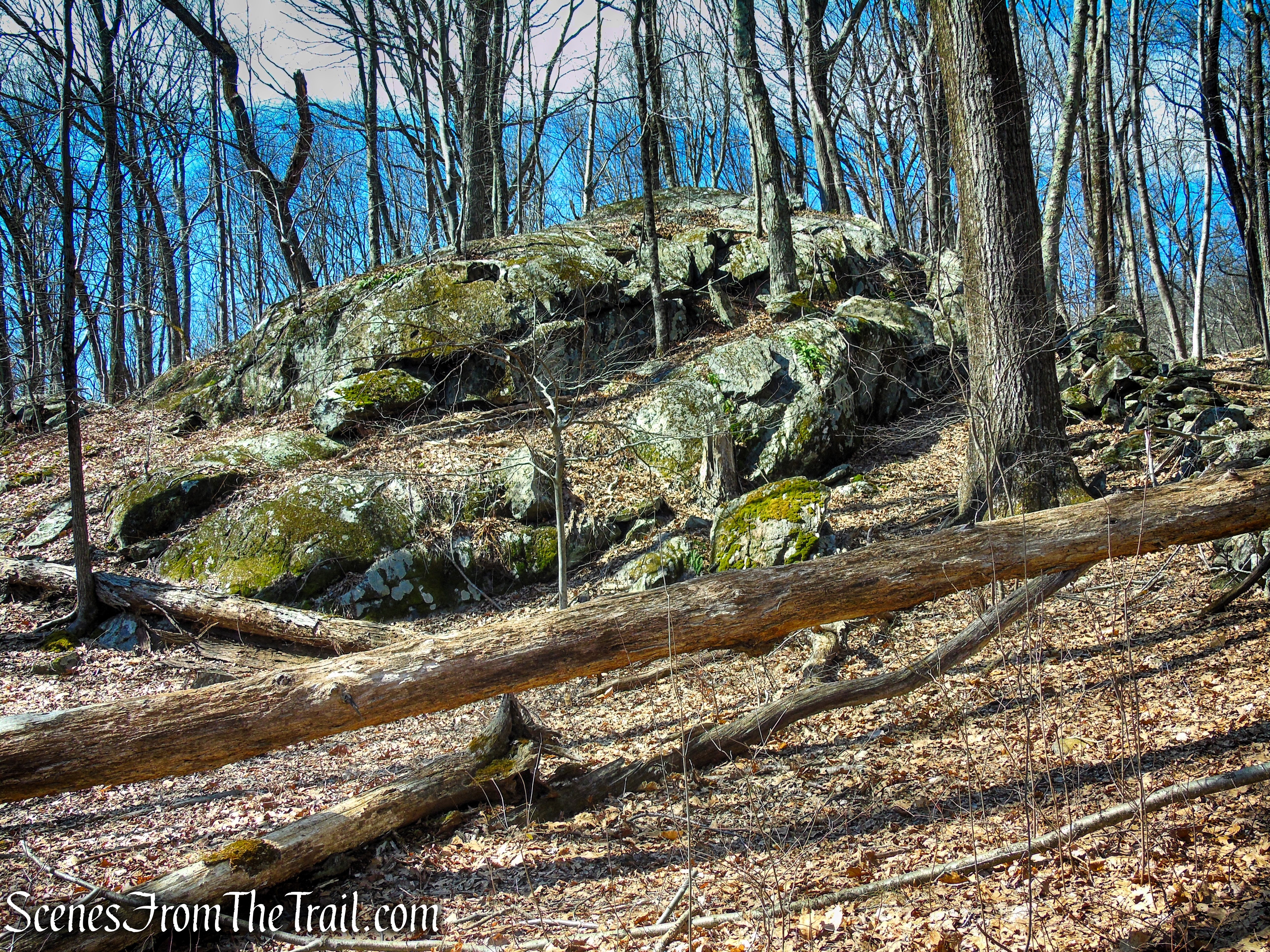 Blue Trail - Turkey Mountain Nature Preserve