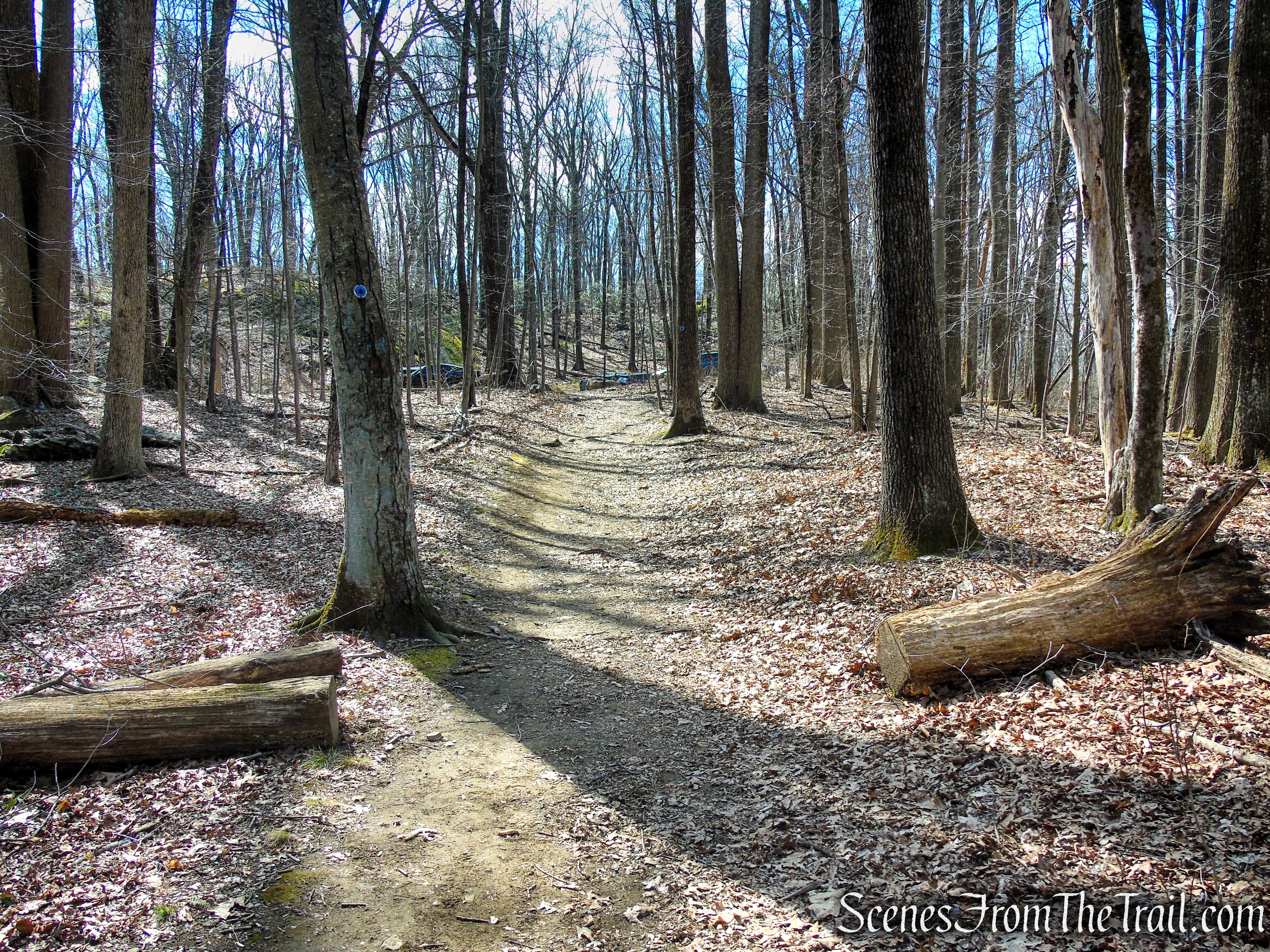 Blue Trail - Turkey Mountain Nature Preserve
