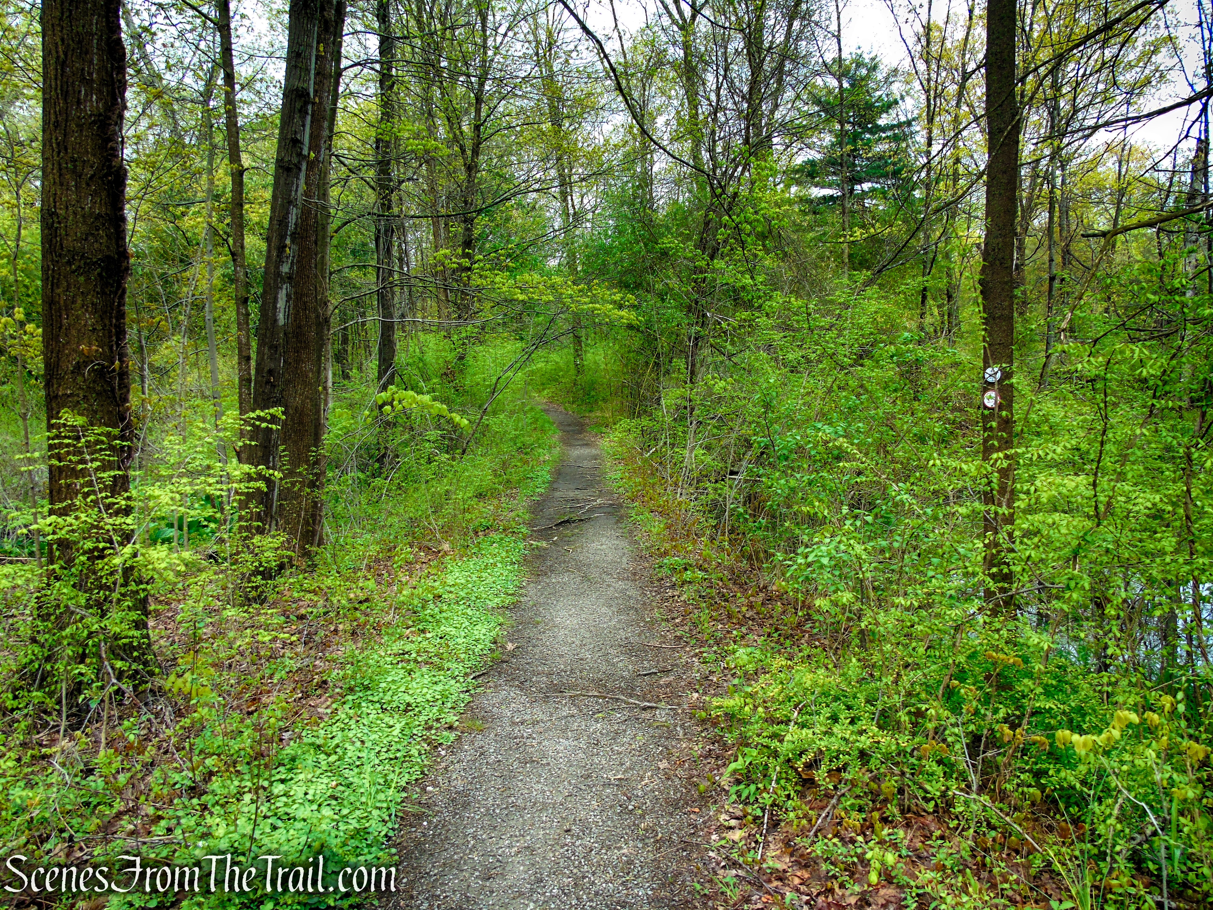 Marcia’s Mile Trail