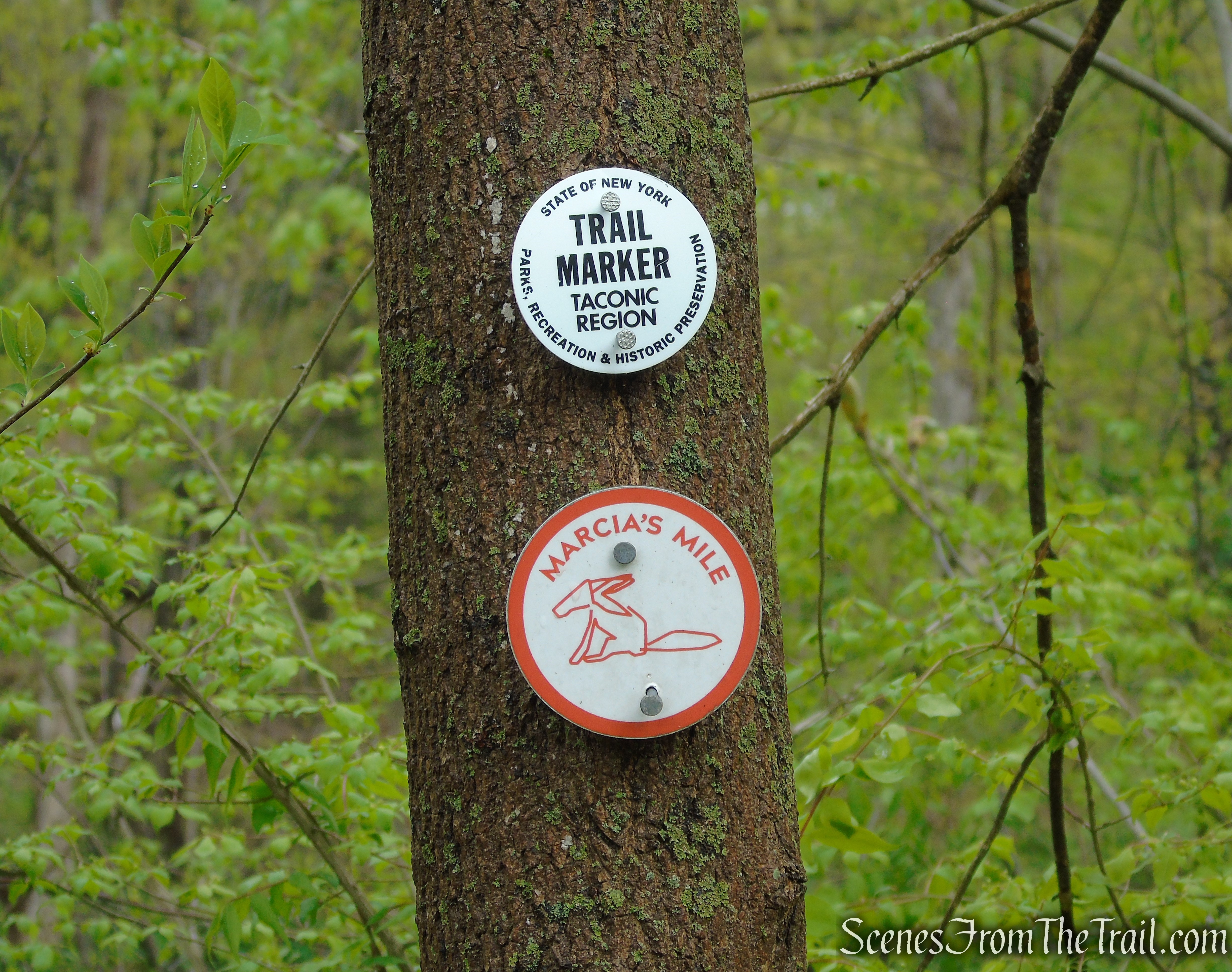 Marcia’s Mile Trail