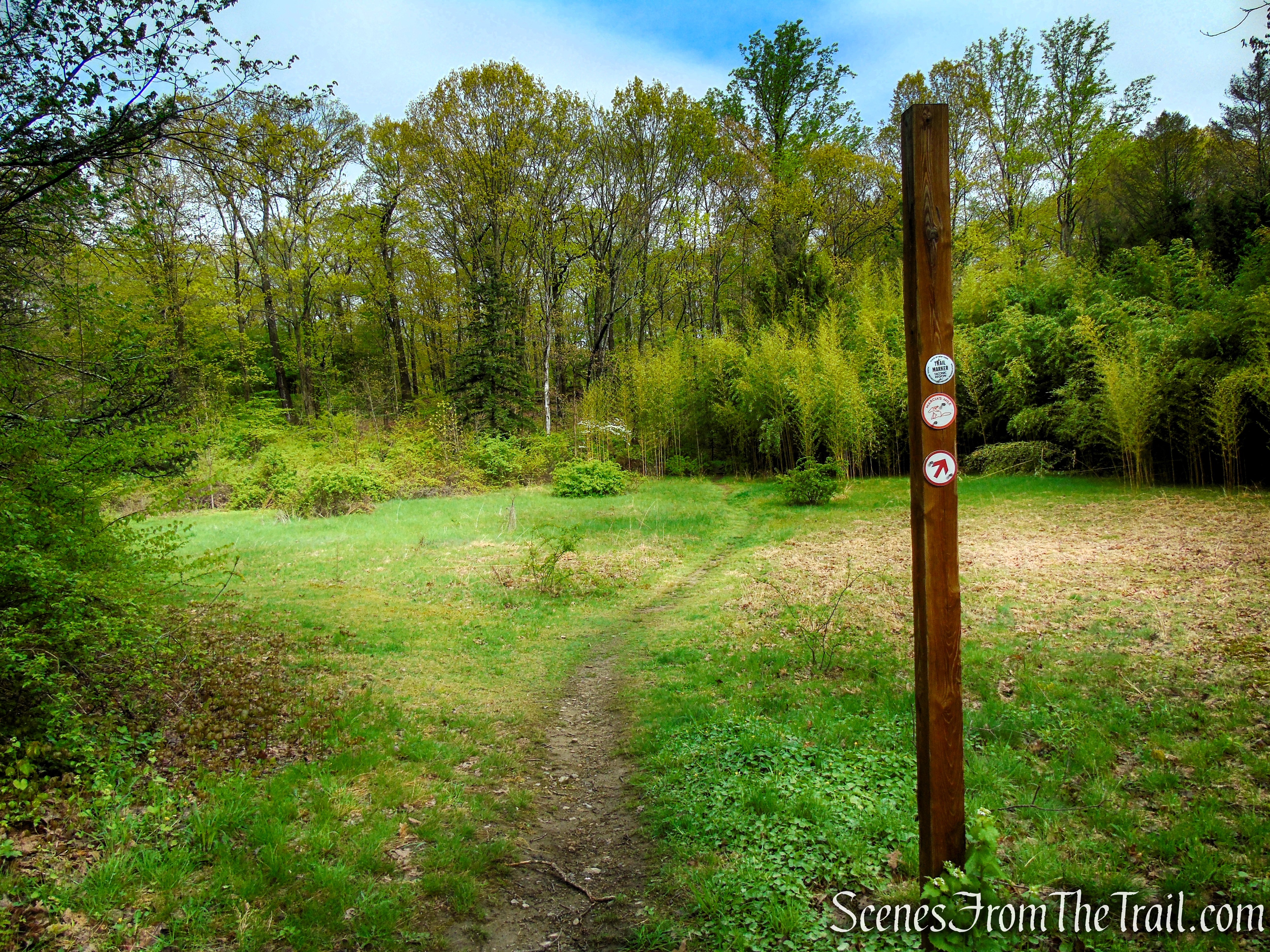 Marcia’s Mile Trail