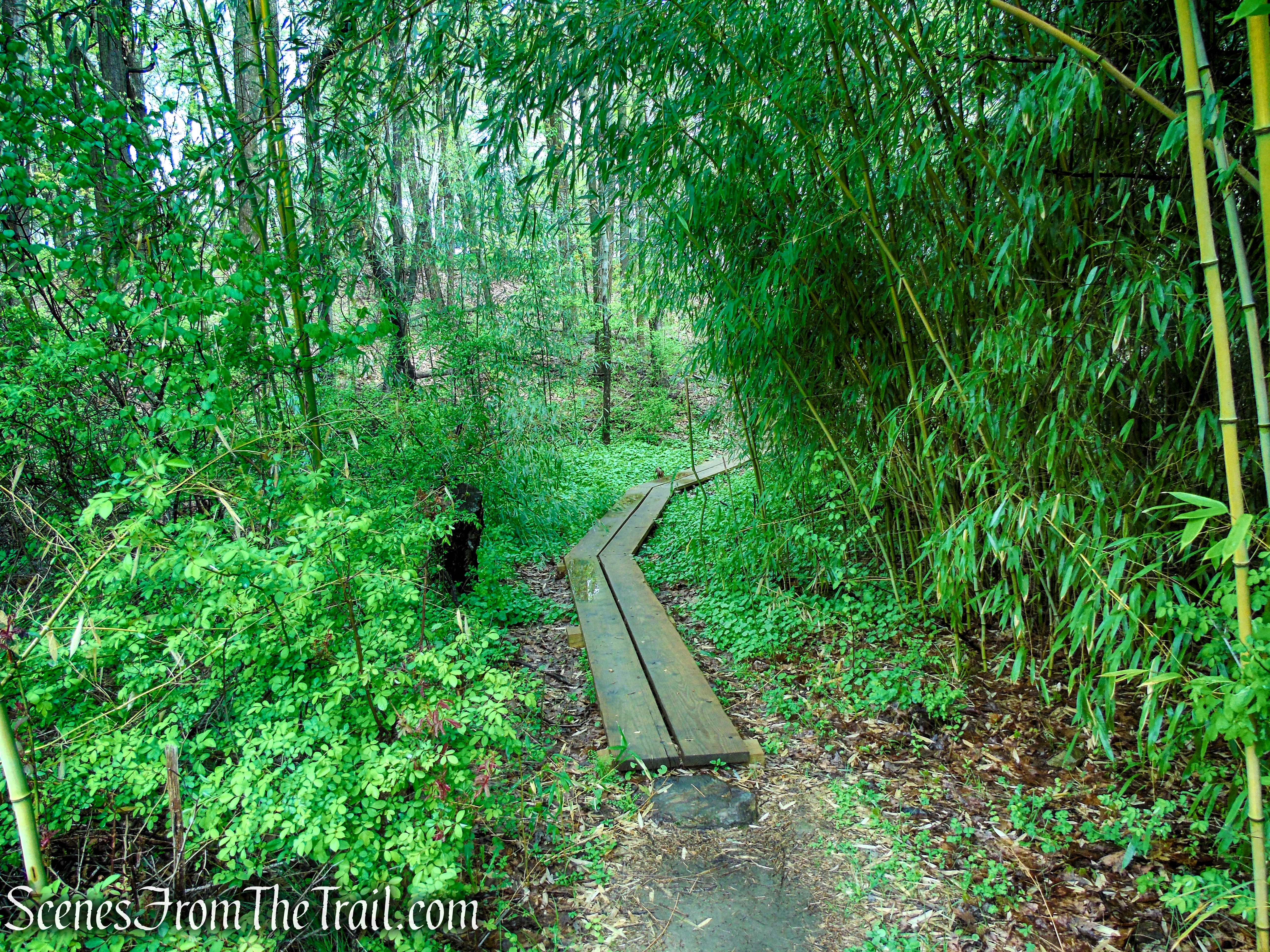 Marcia’s Mile Trail