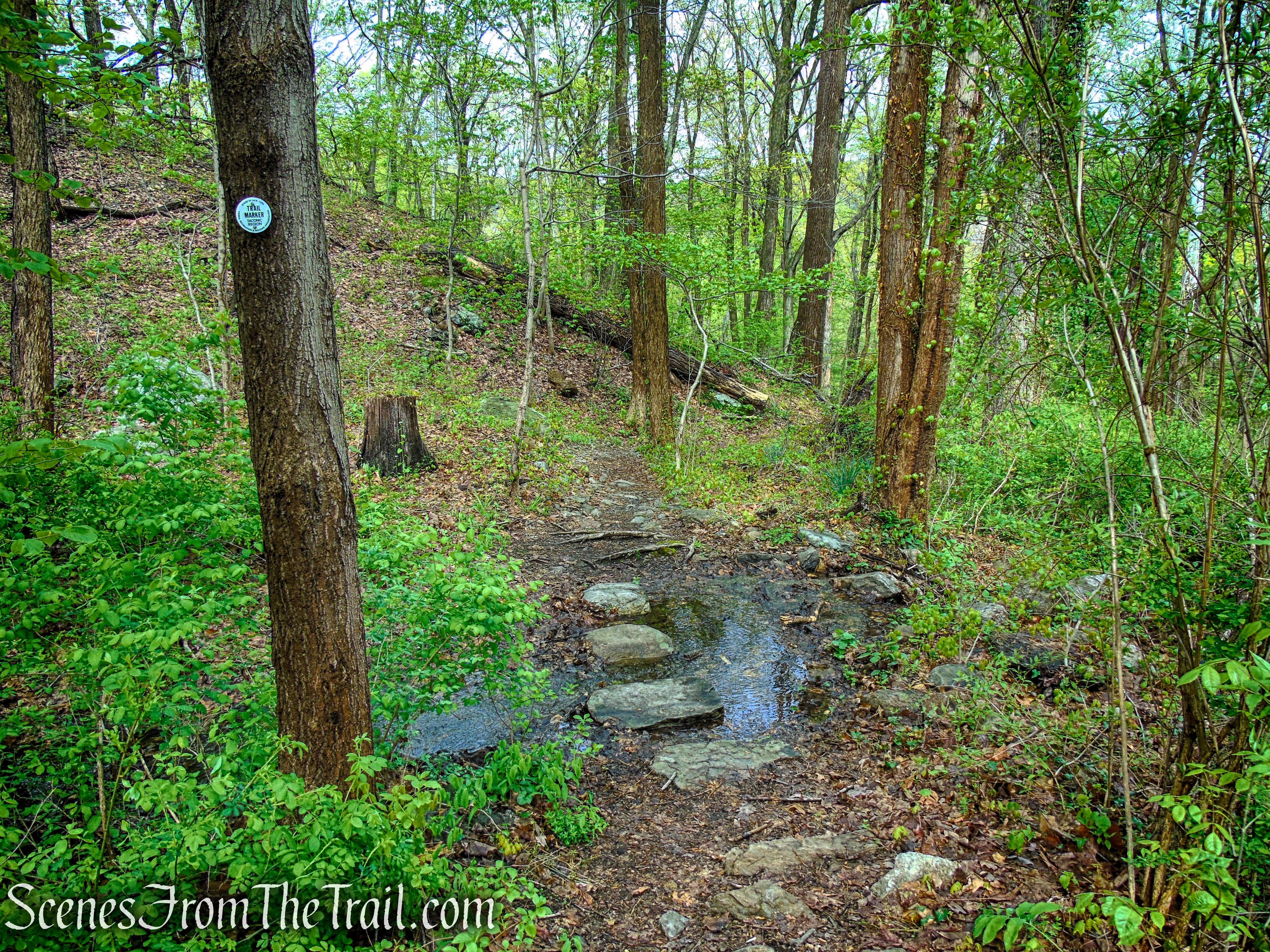 Marcia’s Mile Trail