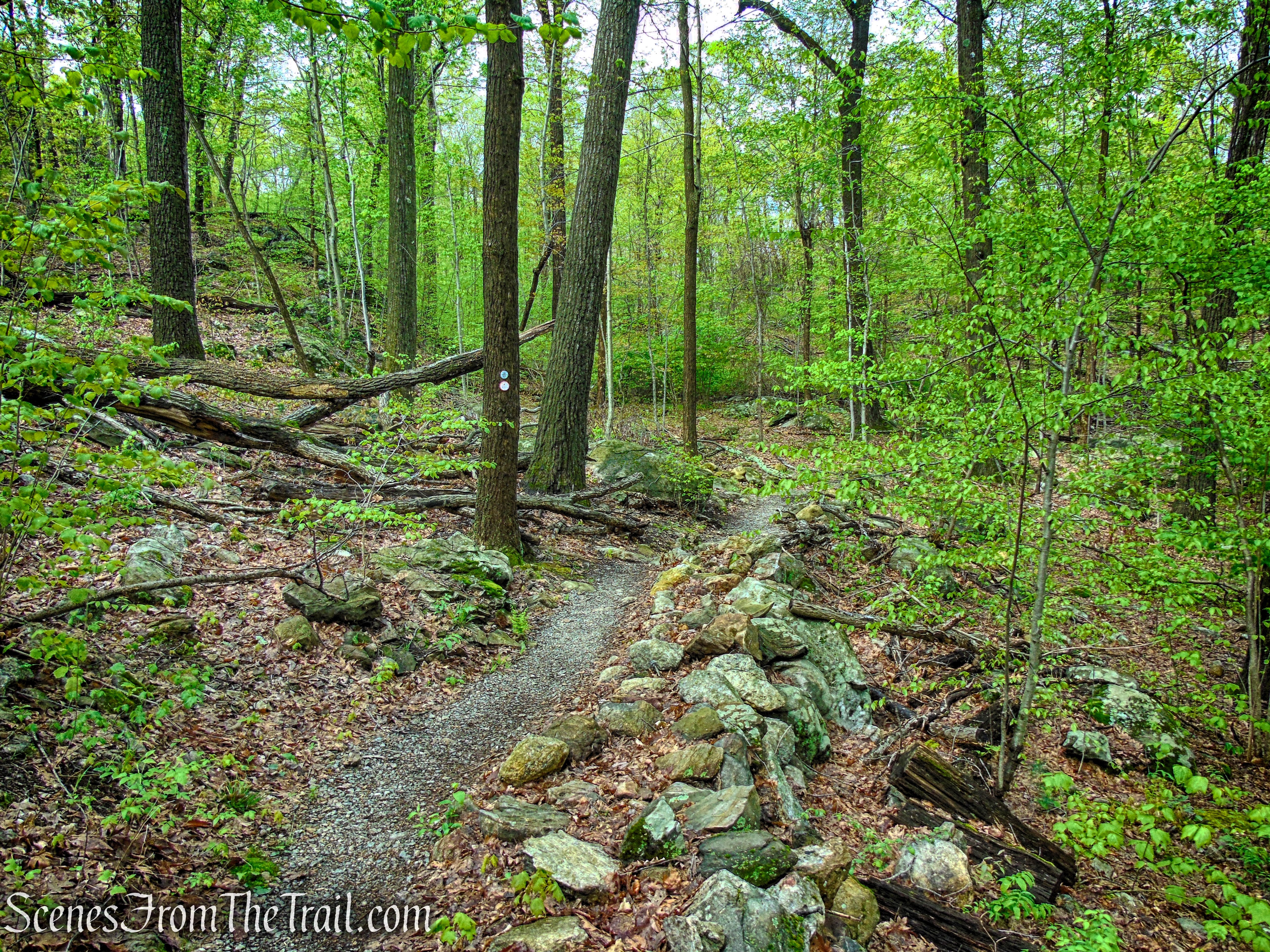 Marcia’s Mile Trail