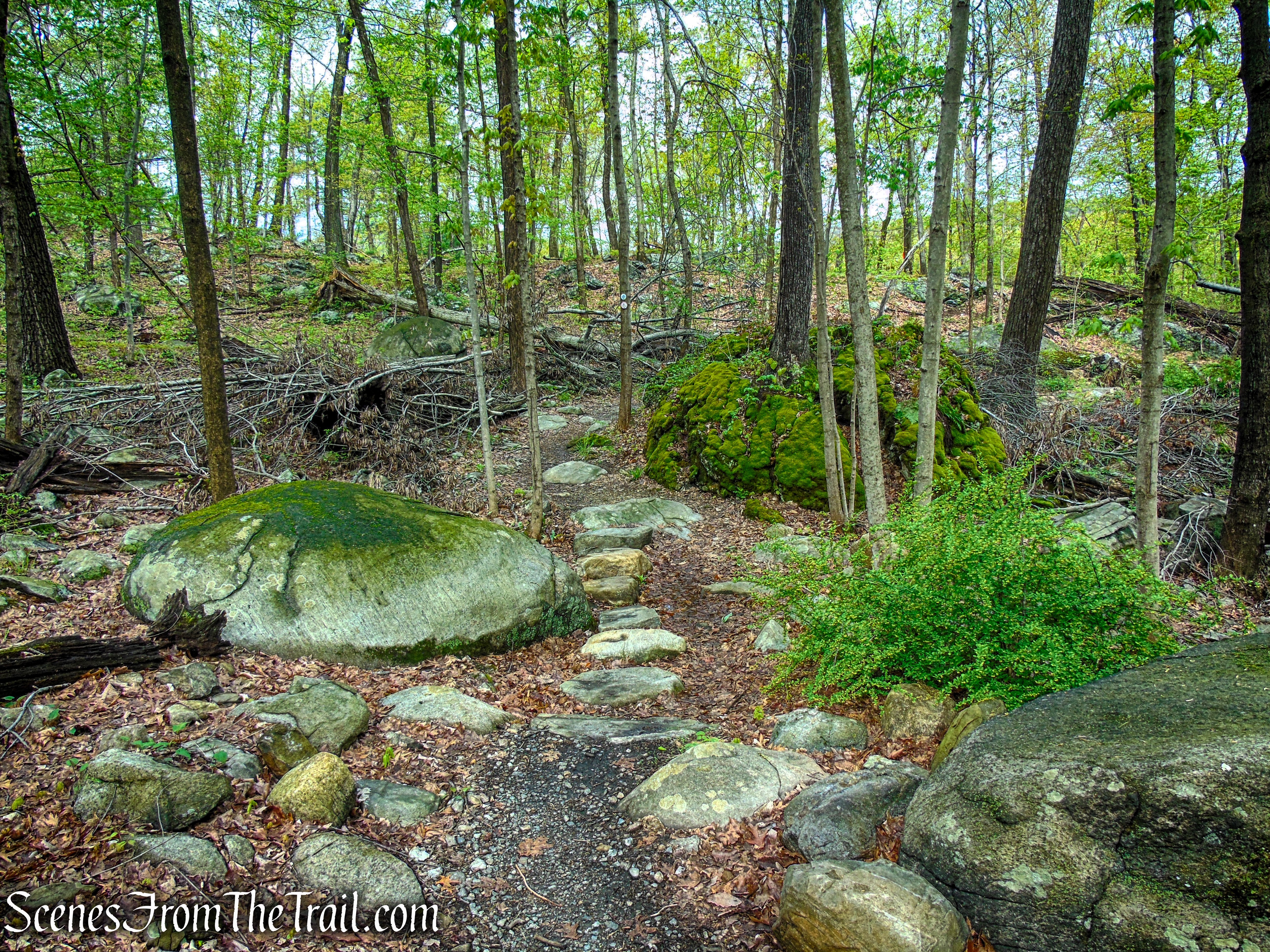 Marcia’s Mile Trail