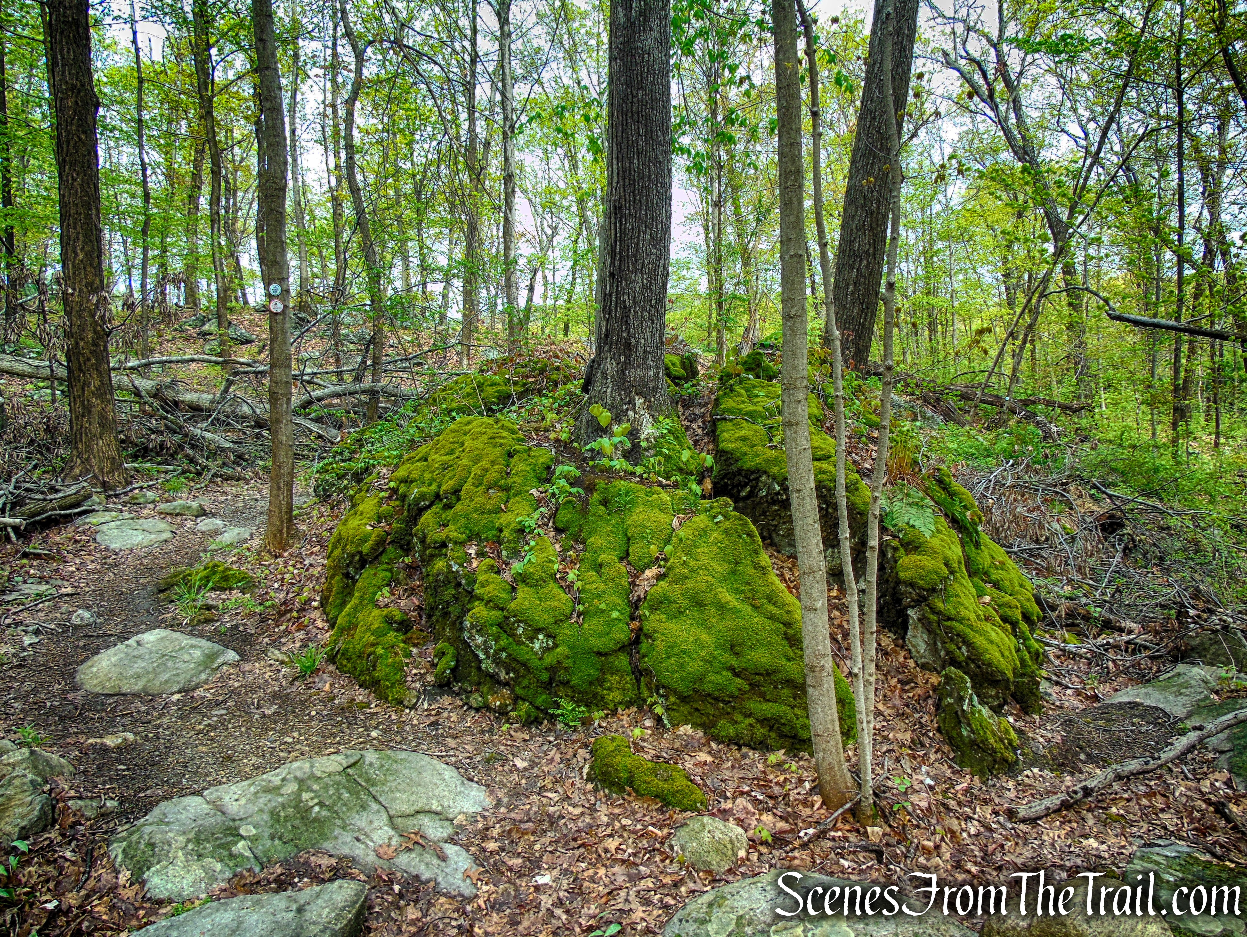 Marcia’s Mile Trail