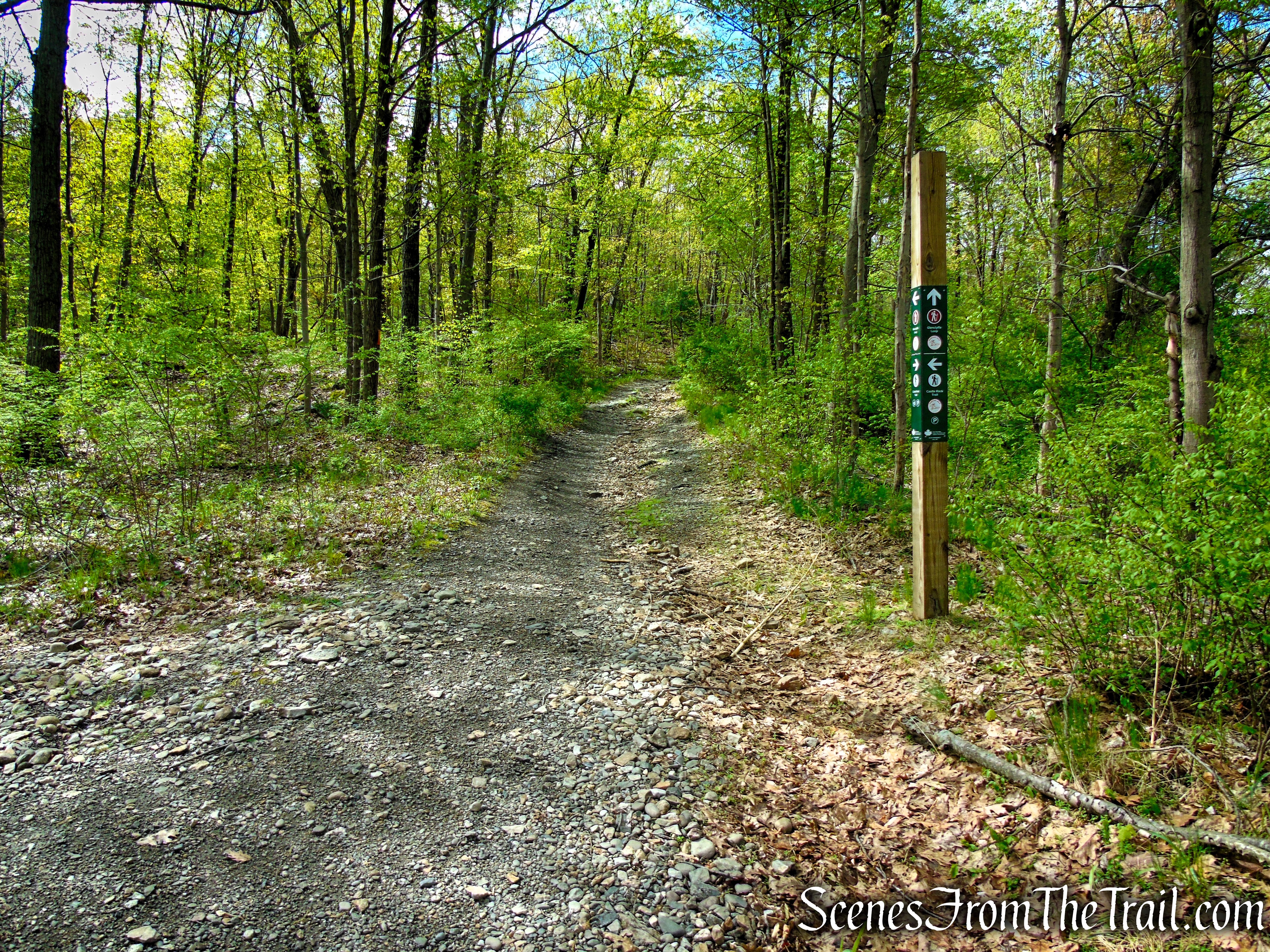 Glenclyffe Loop Trail