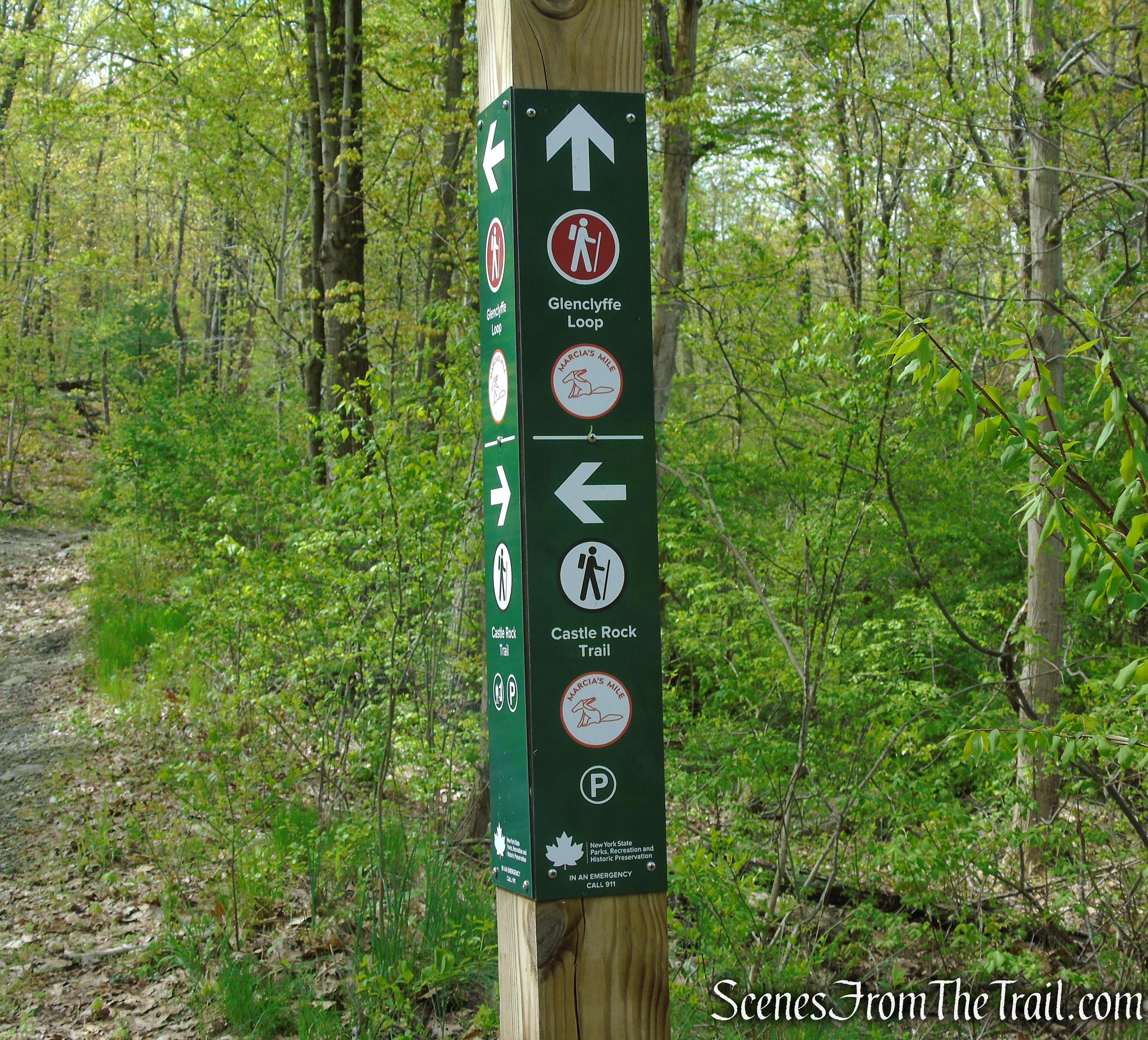 Glenclyffe Loop Trail